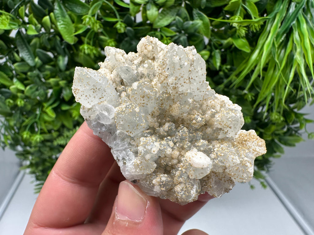 Quartz whit Brown Rhodochrosite from Djurcovo mine,Bulgaria,Quartz,Rhodochrosite cluster,natural mineral,collection crystal,mineral specimen