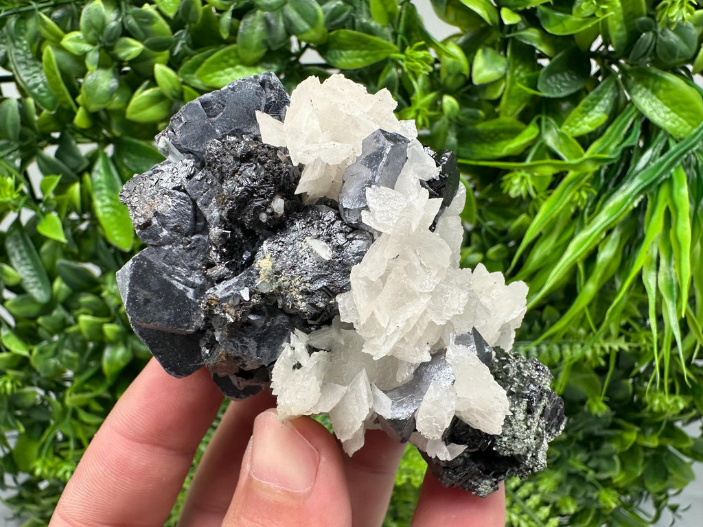 Mirror Galena, Sphalerite, Calcite Mineral Specimen: Borieva Mine, Bulgaria