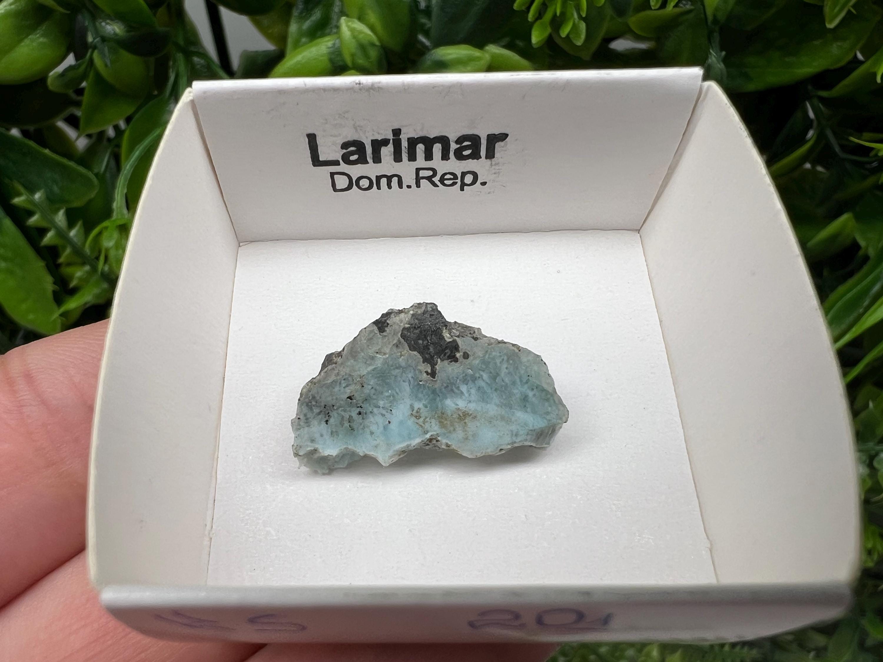 Rare Raw Larimar Specimen: Dominican Republic Mineral Collection (23/15mm