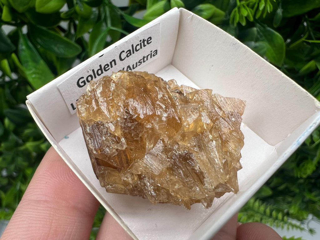 Raw Honey Calcite Stone: Golden Crystal (4/3 cm
