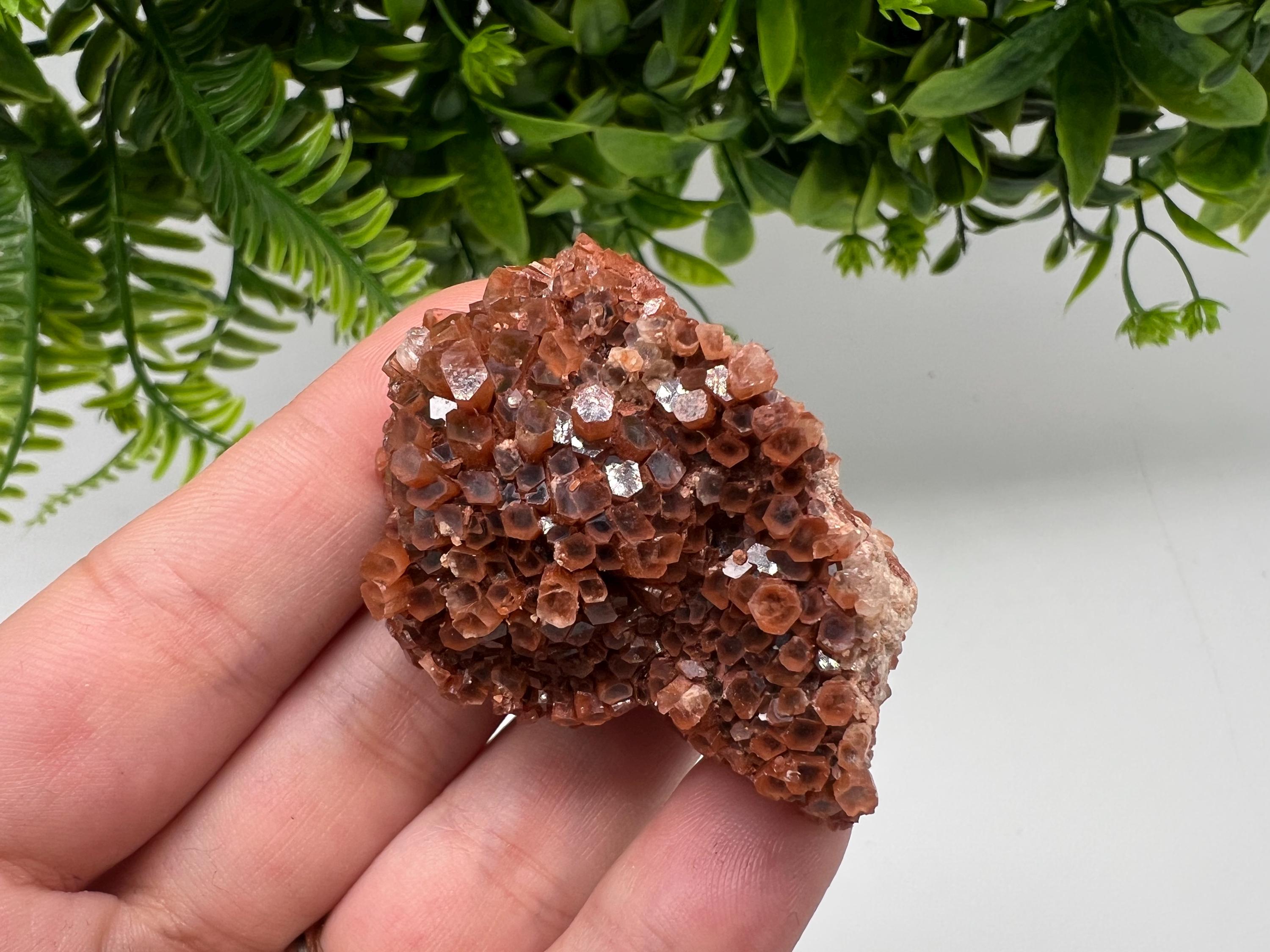 Extra Large Aragonite Sputnik Cluster: Moroccan Raw Crystal Stone