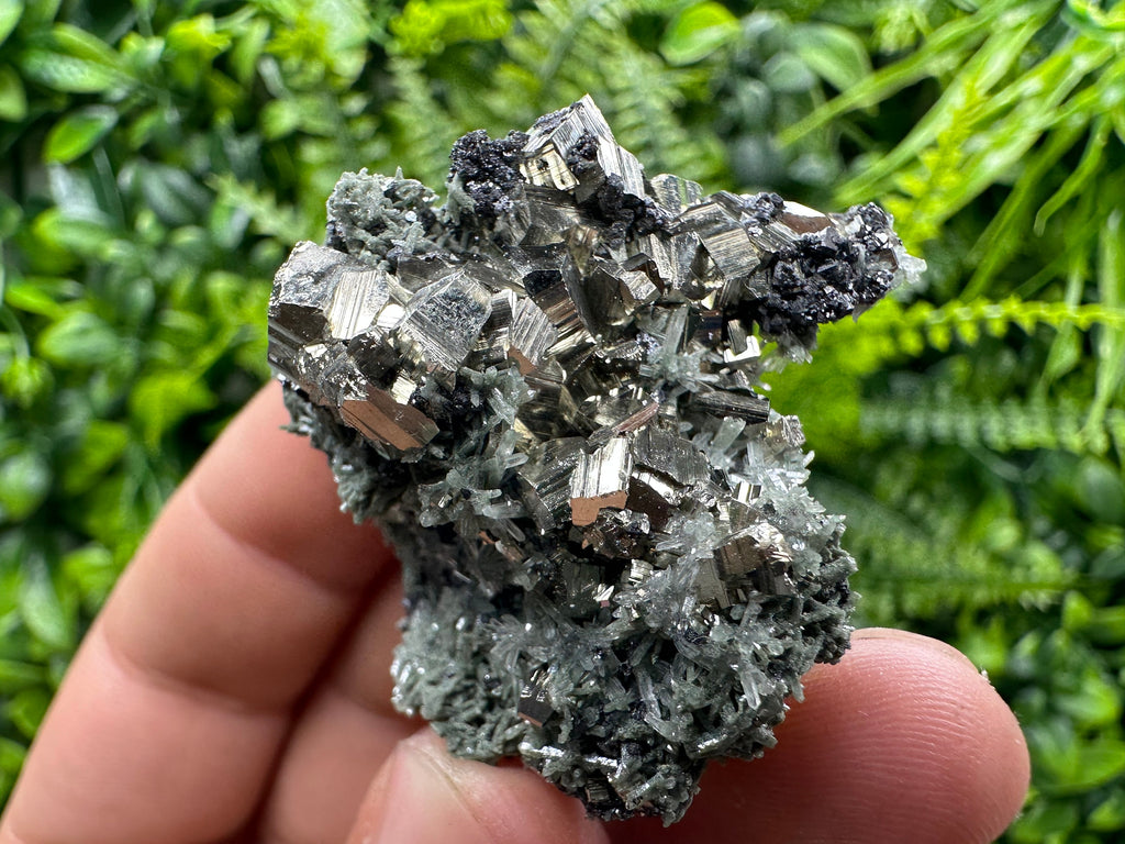 Crystallized Pyrite on Green Quartz: Borieva Mine, Bulgaria