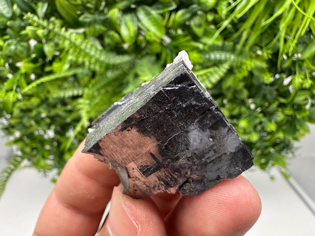 Shiny Galena Cluster, Borieva Mine, Madan Bulgaria