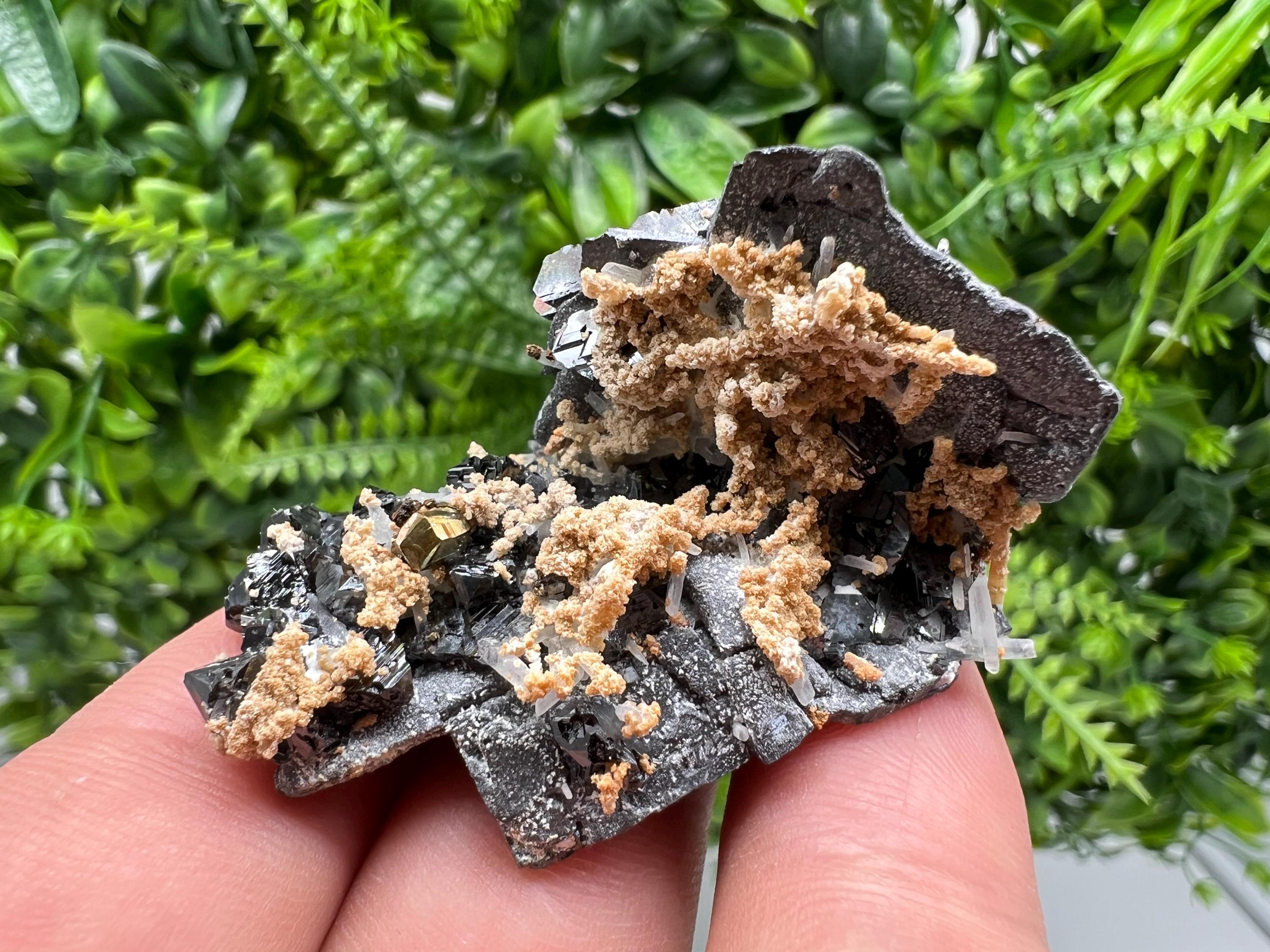 Skeletal Galena Mineral Specimen: Madan Bulgaria Collectible Stone