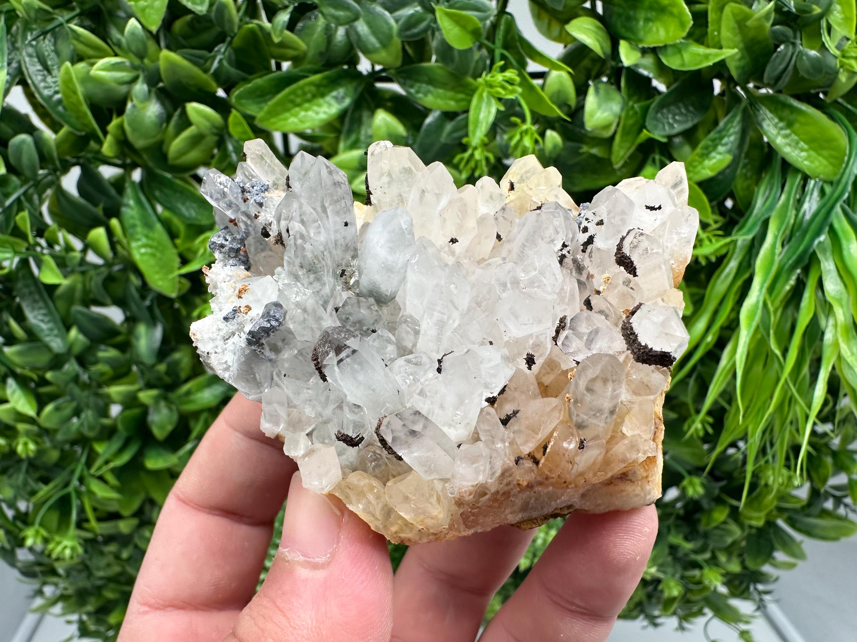 Transparent Quartz whit Siderite 9th September mine Bulgaria natural minerals souvenir crystal stone gift minerals collection rock