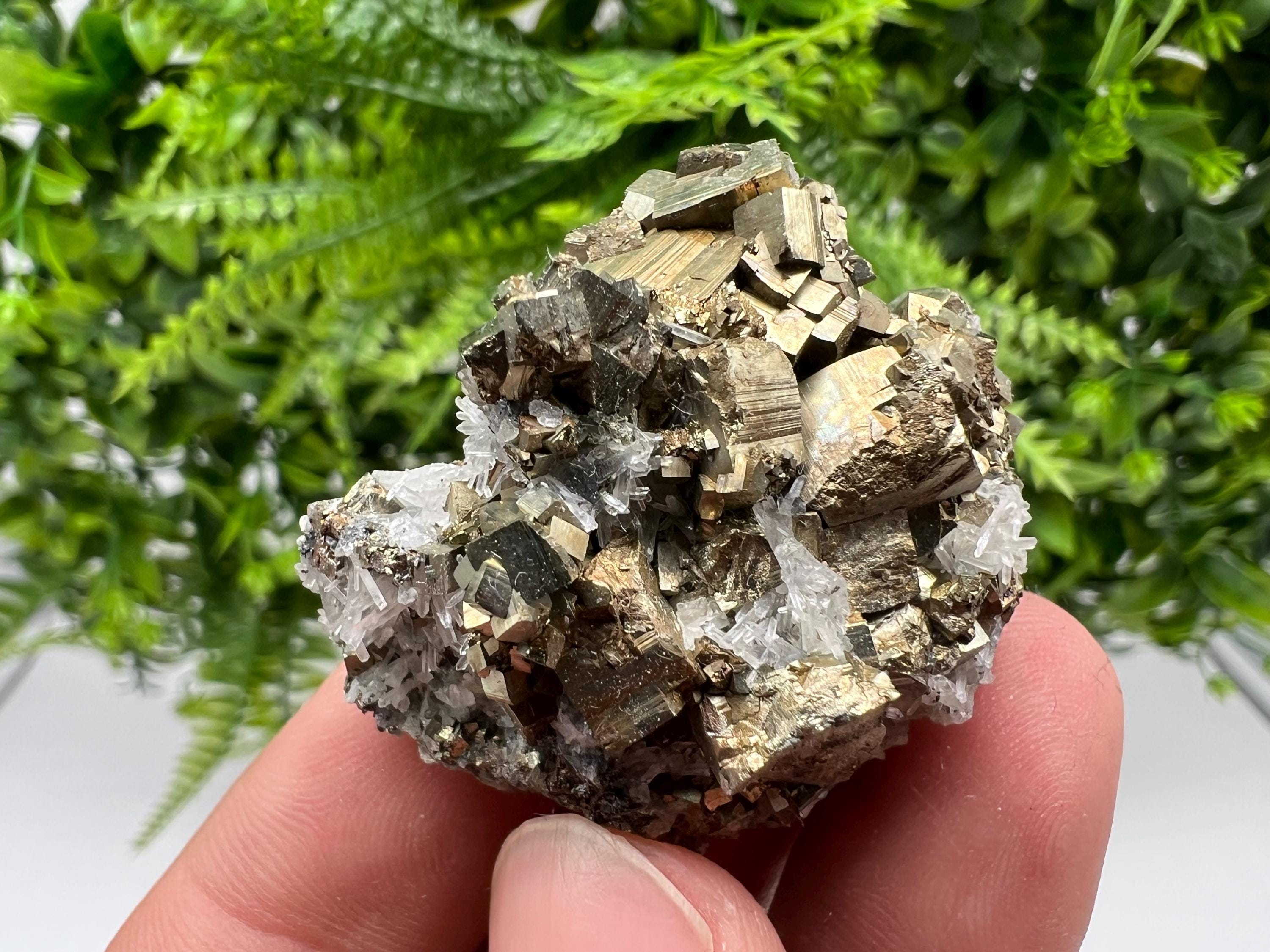 Rainbow Pyrite on Quartz, Natural Crystal Mineral Specimen, Borieva Bulgaria