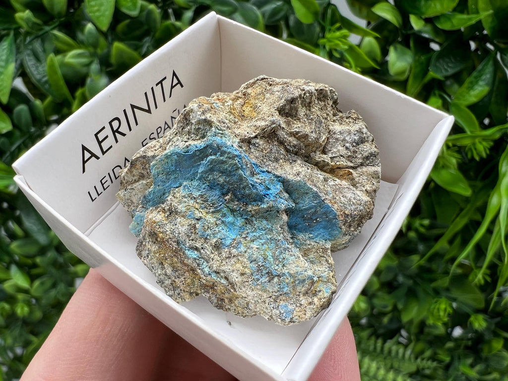 Rare Raw Aerinite Mineral Specimen: Collection Crystal from Lleida, Spain (3.5/3.5 CM)