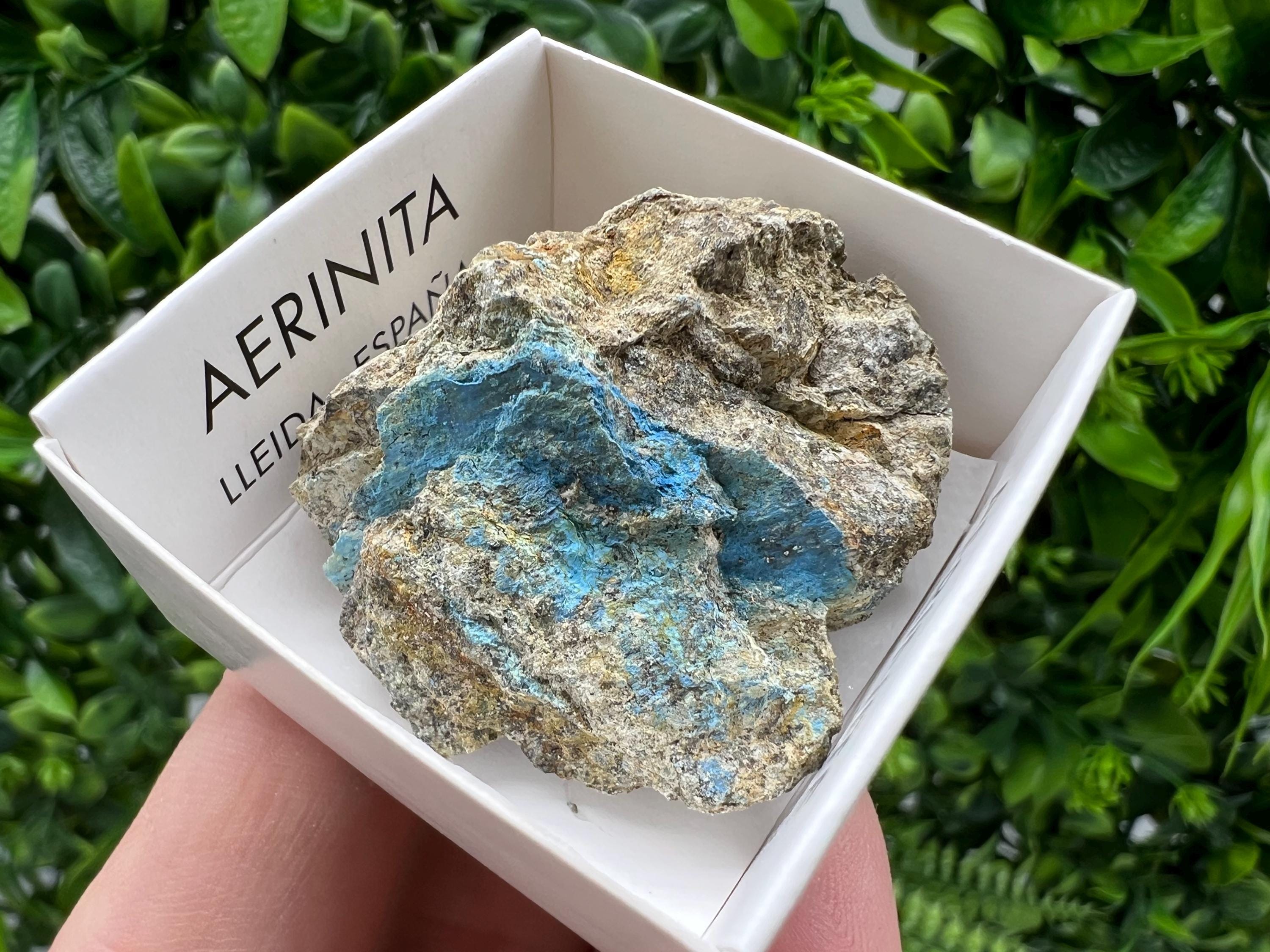 Rare Raw Aerinite Mineral Specimen: Collection Crystal from Lleida, Spain (3.5/3.5 CM)