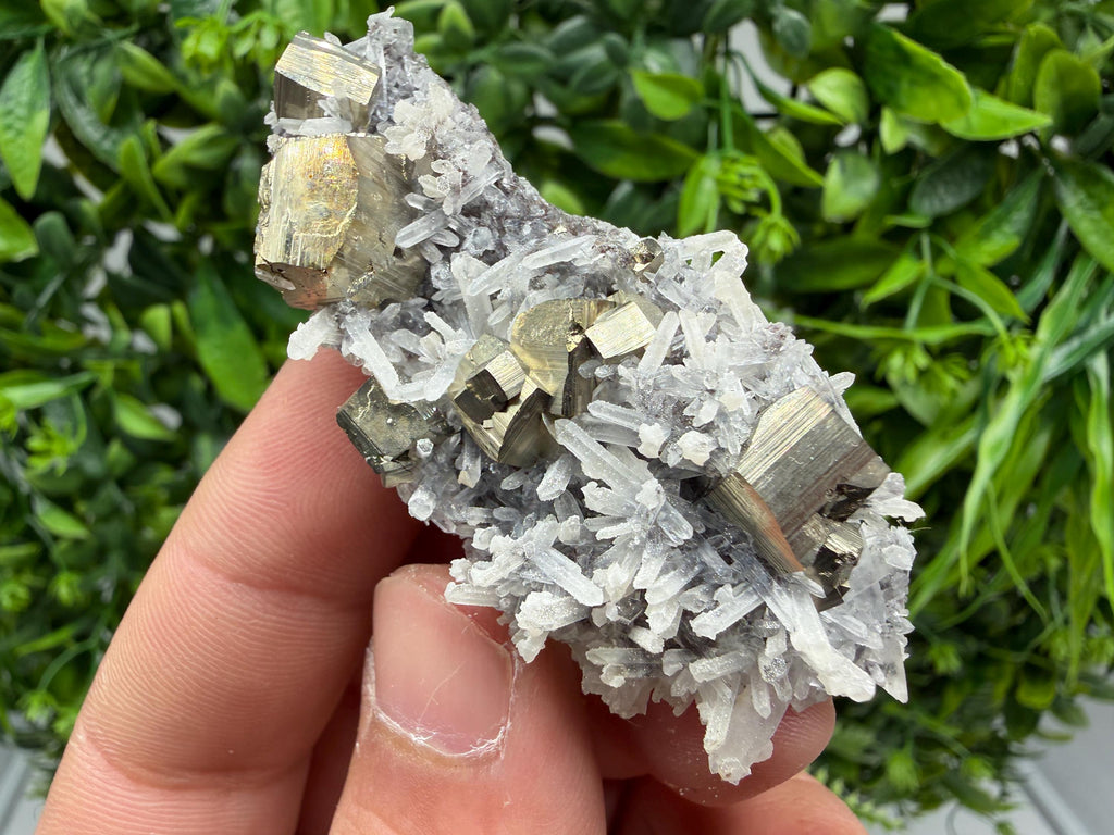 Pyrite Sphalerite Quartz  Mineral Specimen, Krushev dol Mine