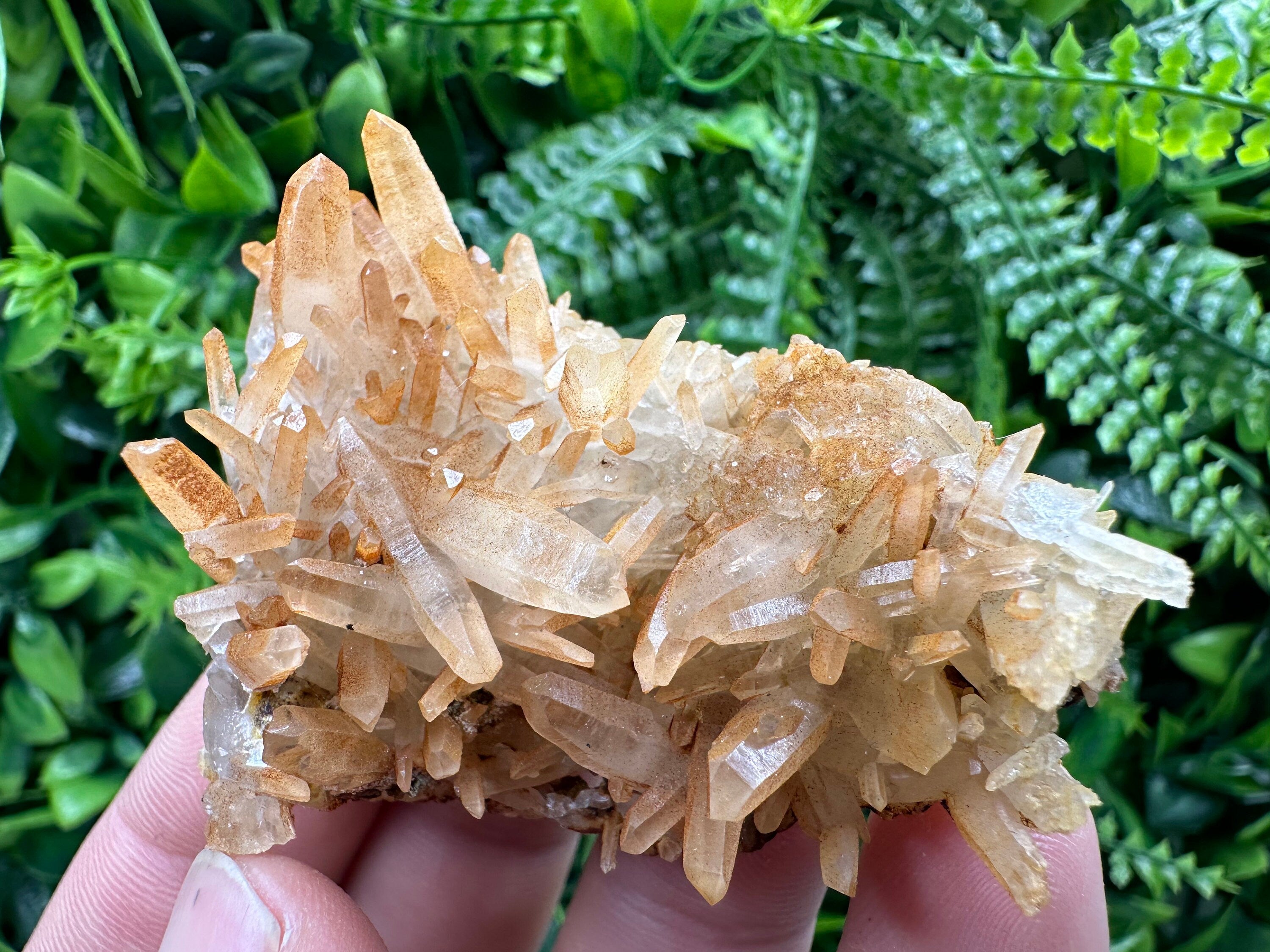 Transparent Quartz Cluster: Natural Mineral Souvenir, Bulgaria