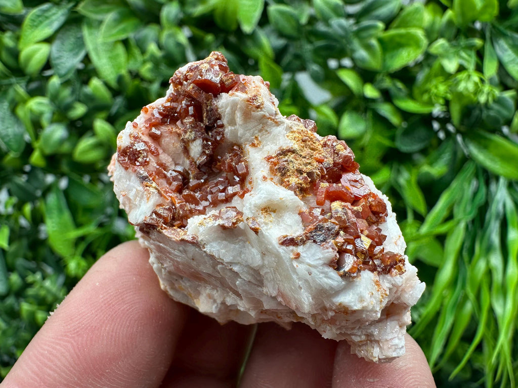 Red Vanadinite on Barite, Morocco Crystal Cluster
