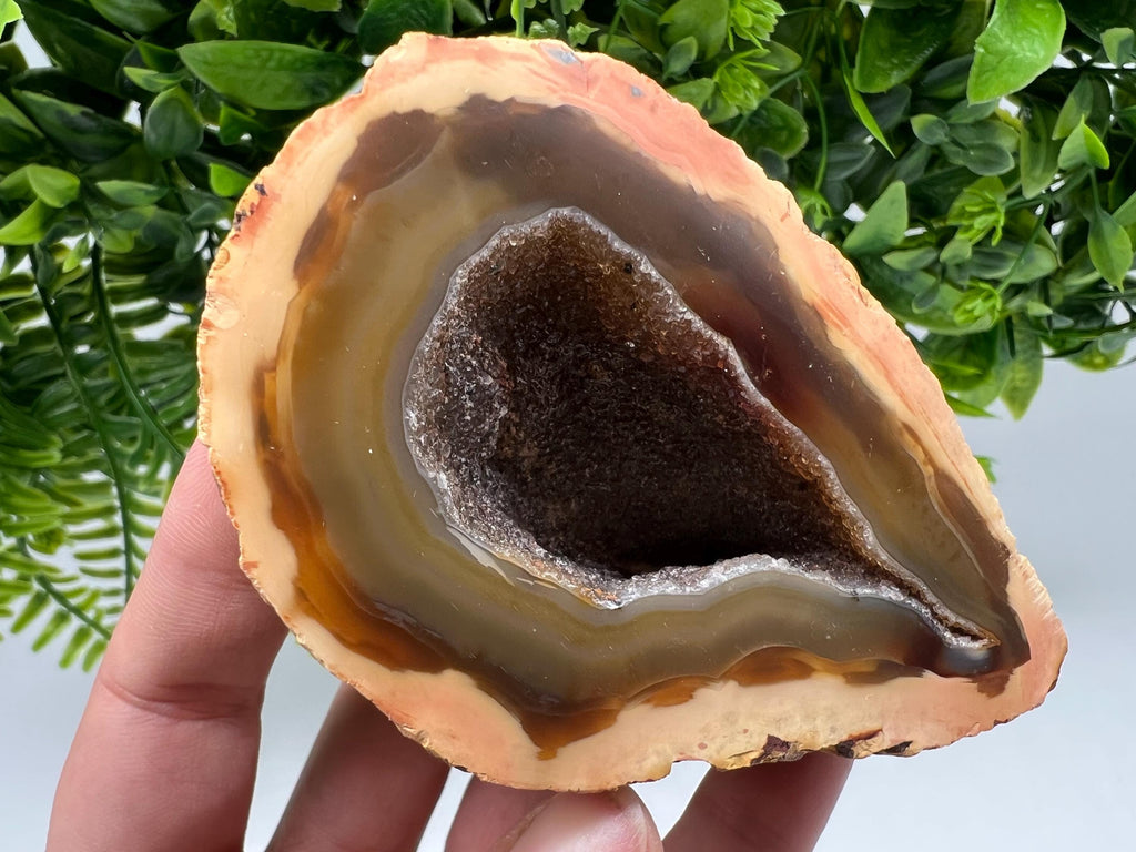Natural Druzy Agate Geode, Quartz Crystal