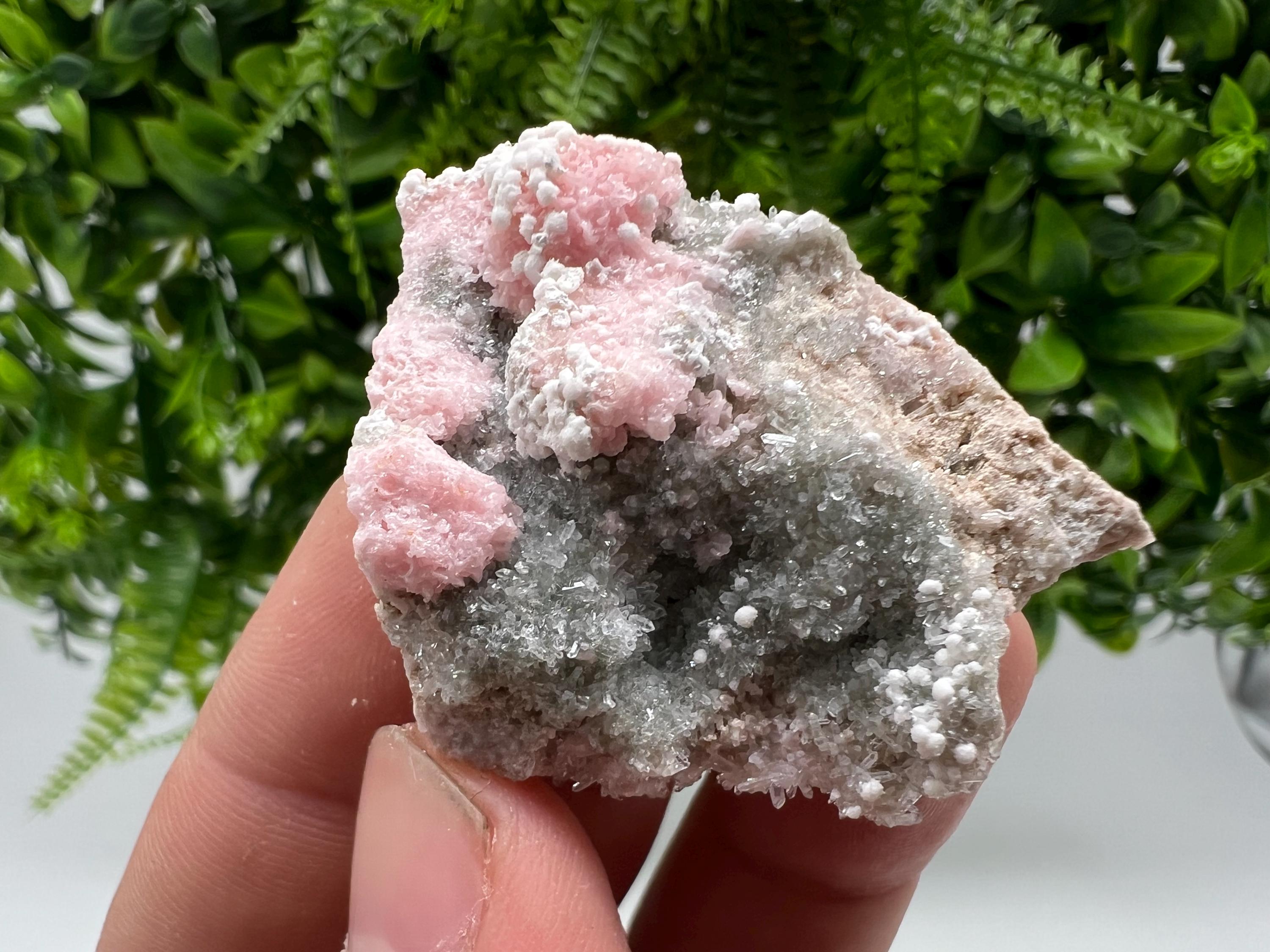 RARE Rhodochrosite with Calcite: Starnica Mine, Bulgaria