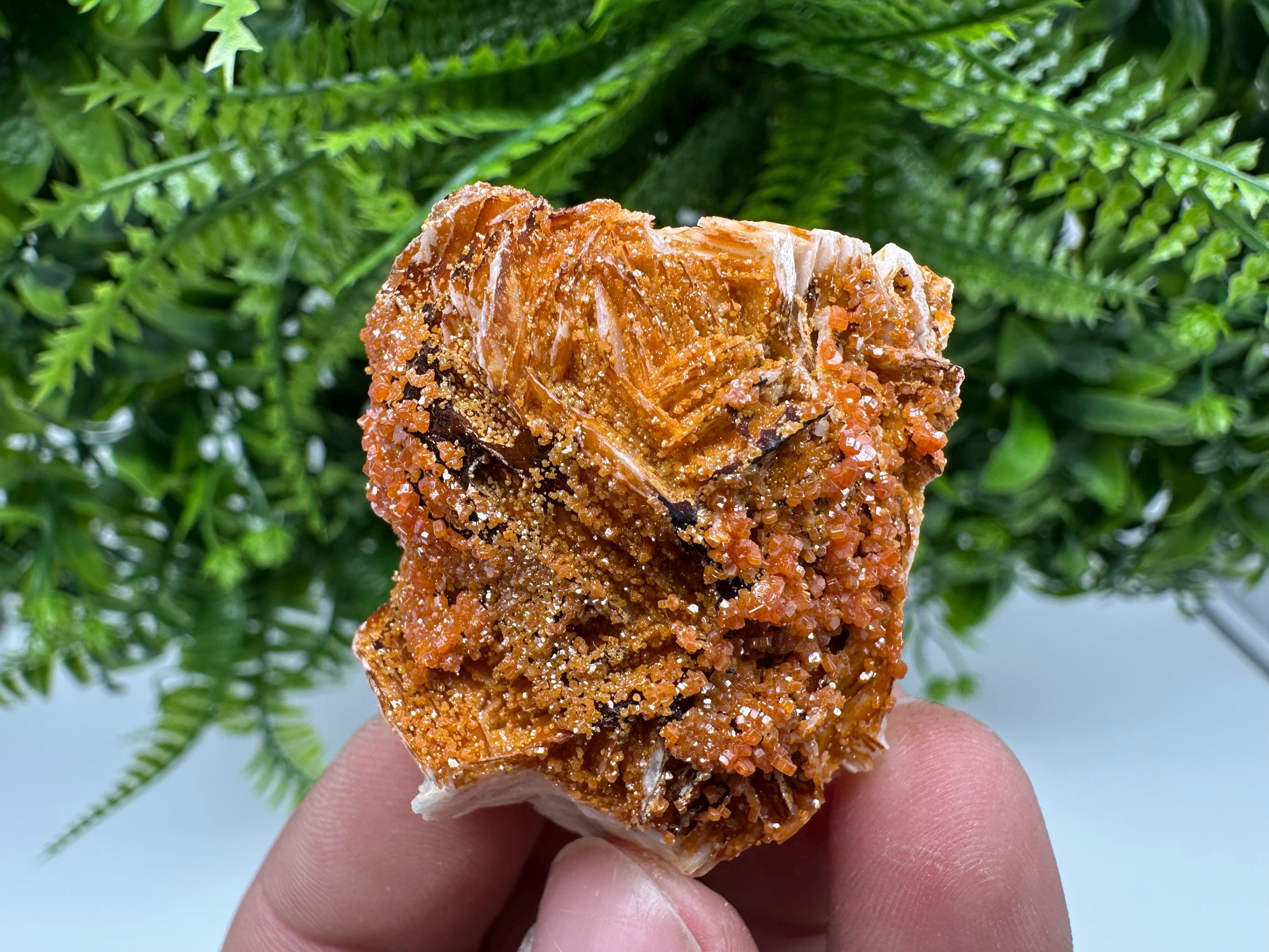 Red Vanadinite on Barite, Morocco Crystal Specimen