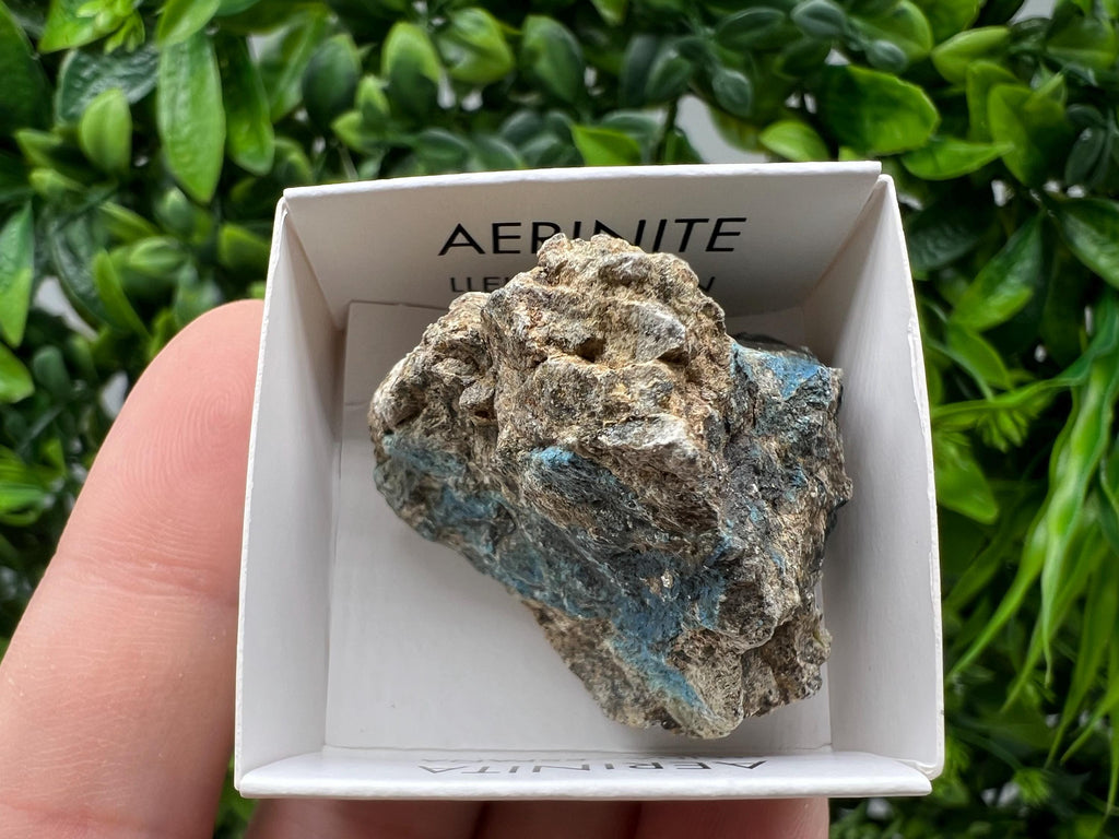 Rare Raw Aerinite Mineral Specimen: Collection Crystal from Lleida, Spain (3.5/3 CM)