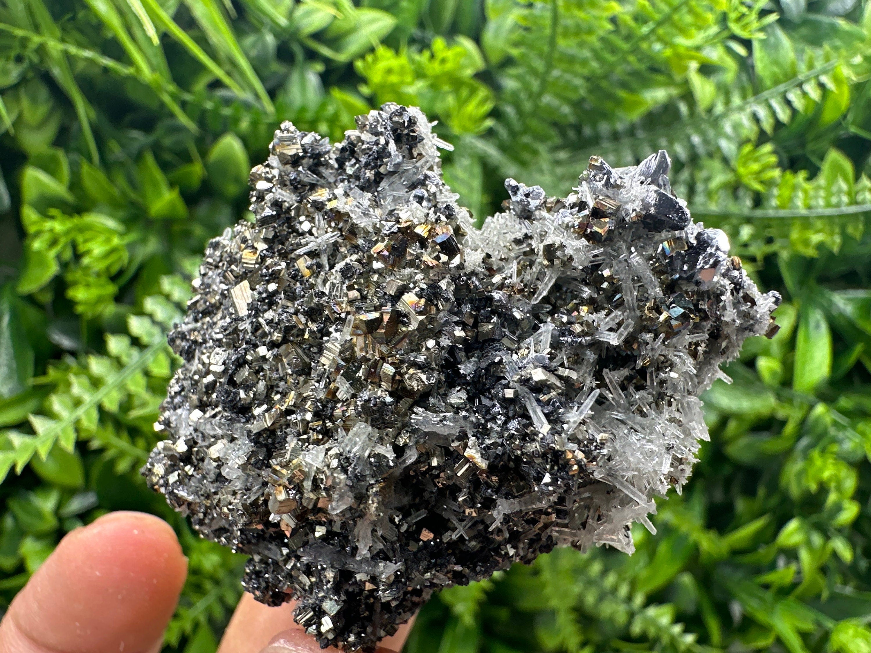 Galena Pyrite Sphalerite with Quartz, Borieva Mine Mineral Specimen