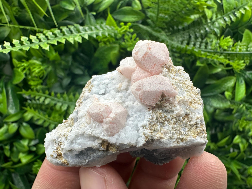 Mangano Calcite on Marcasite with Barite, Bulgaria Mineral Specimen