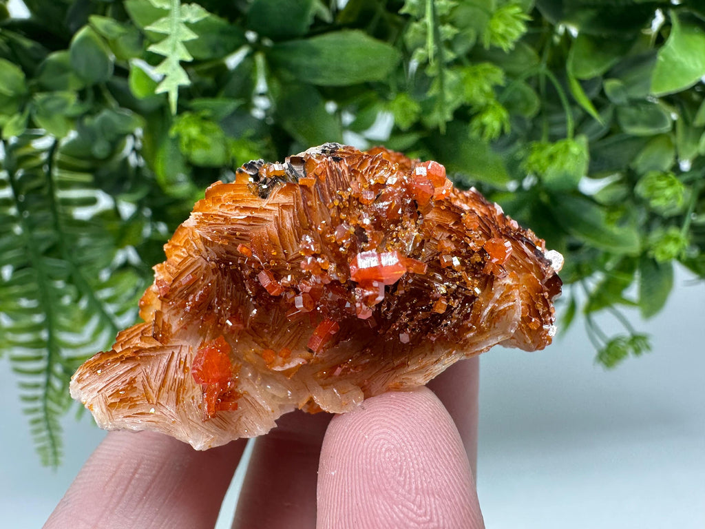 Red Vanadinite Crystal Cluster on Barite Matrix from Morocco, Geology Specimen