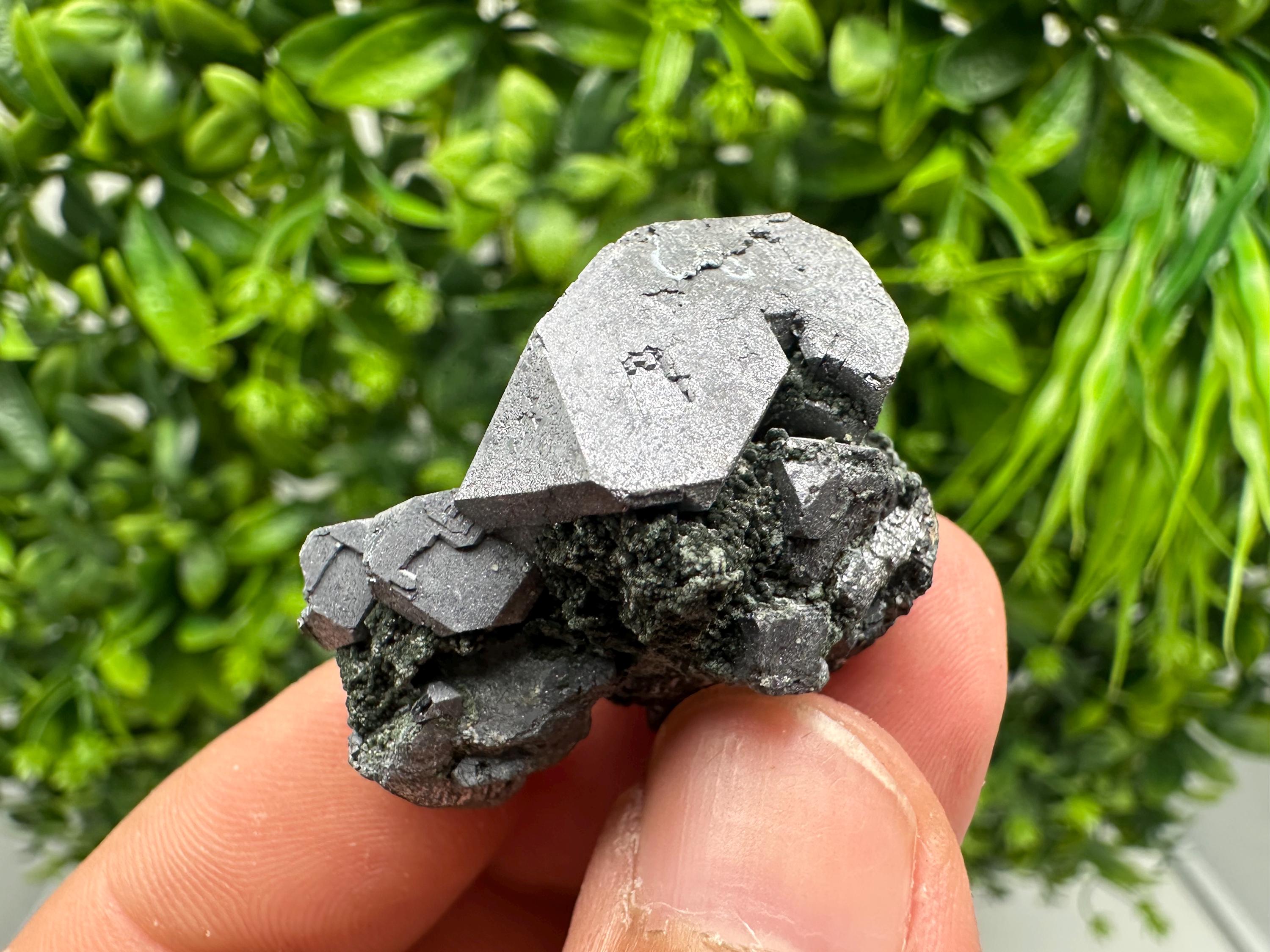 Shiny Galena Cluster - Borieva Mine, Bulgaria