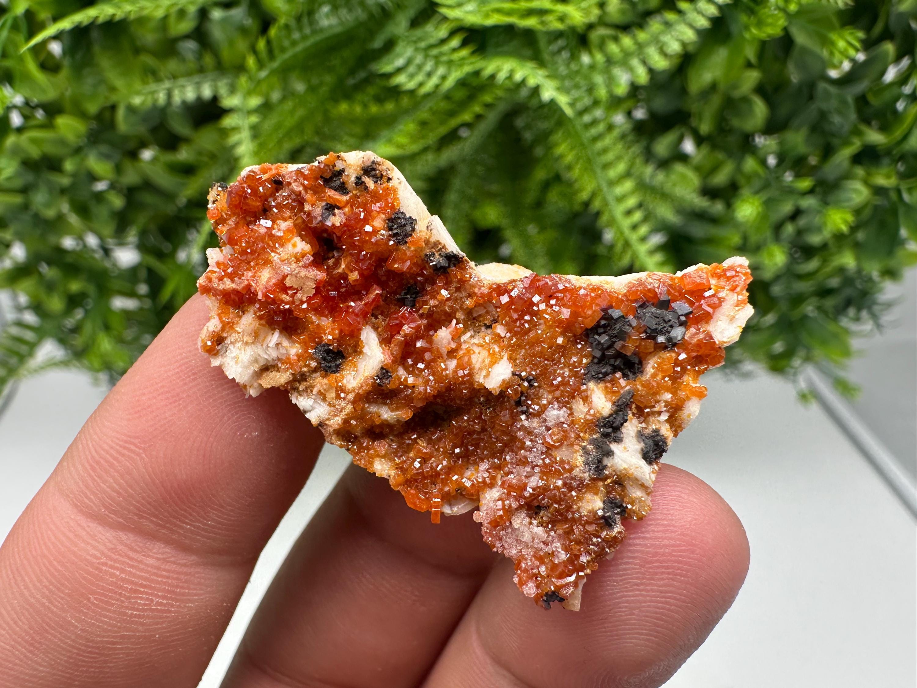 Red Vanadinite on Barite from Marocco,crystal minerals Speciment cluster Vanadinite crystal Vanadinite Geology Vanadinite cluster minerals