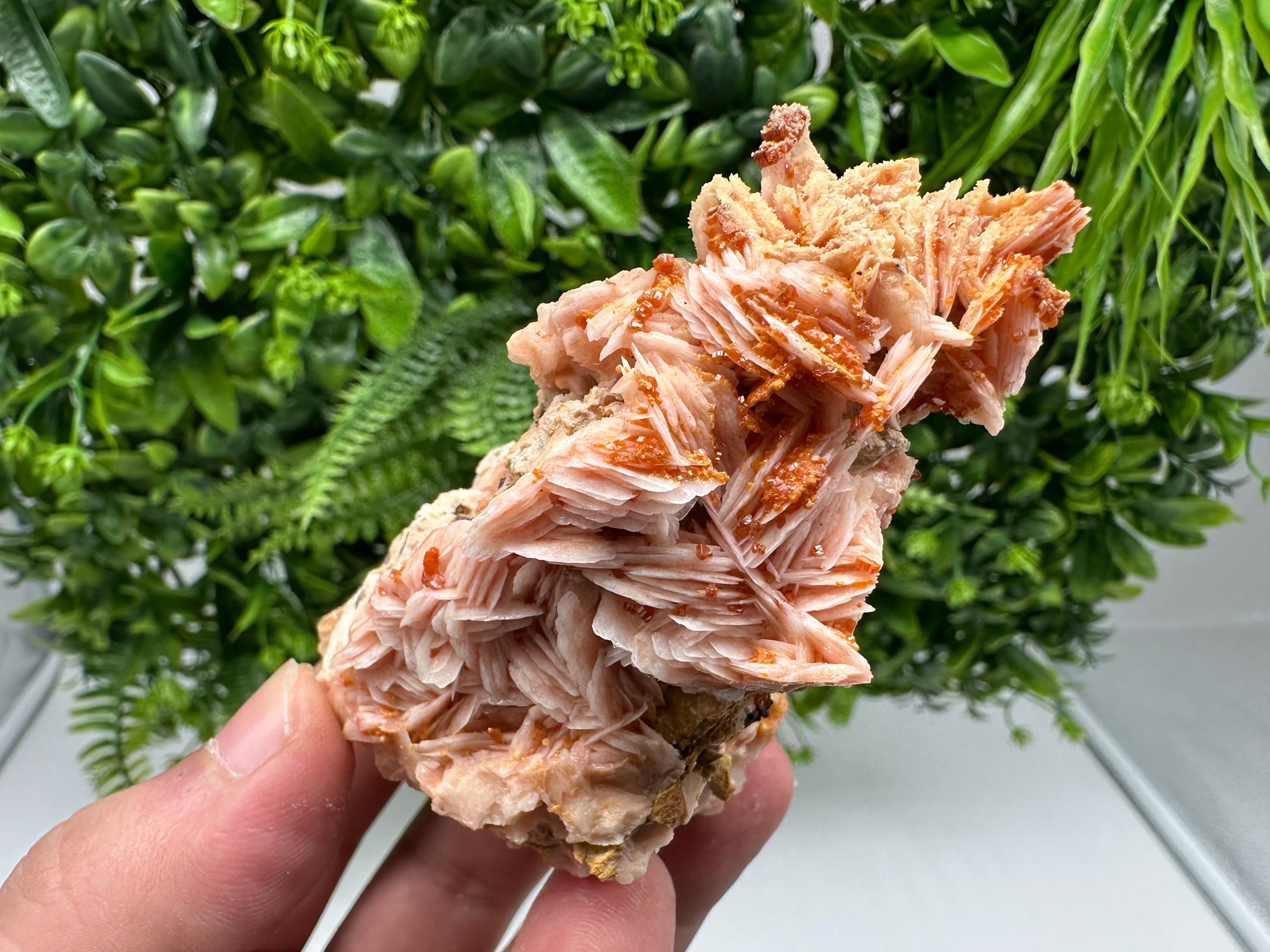 Red Vanadinite on Barite from Marocco,crystal minerals Speciment cluster Vanadinite crystal Vanadinite Geology Vanadinite cluster minerals