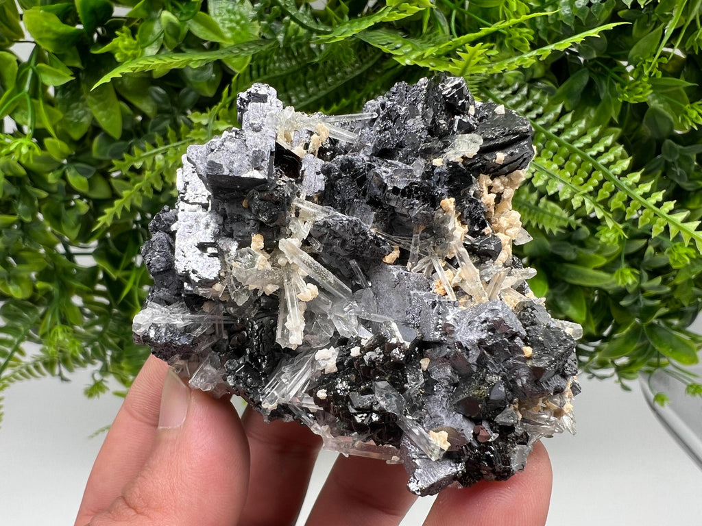 Galena Sphalerite Quartz Mineral Specimen, Krushev dol Mine, Bulgaria