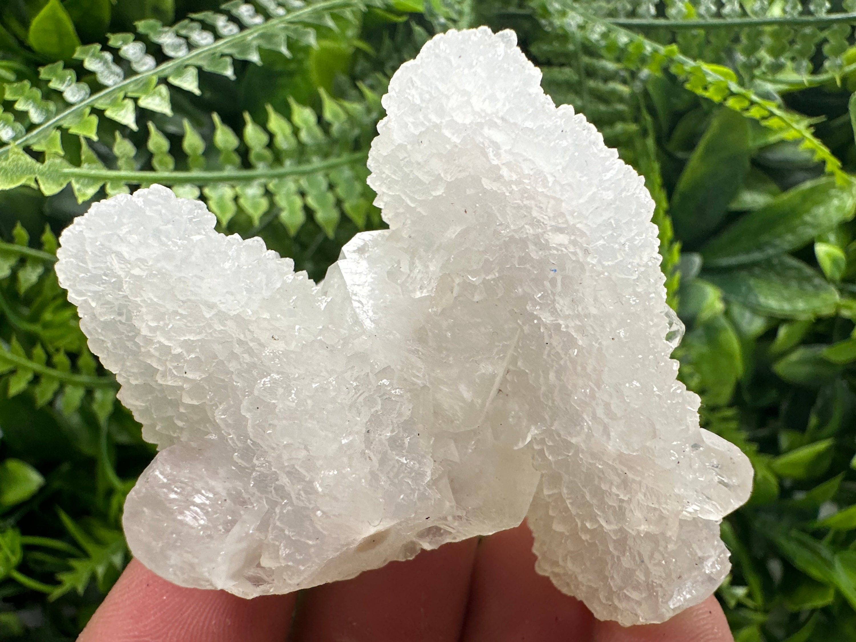 Transparent Apophyllite on Chalcedony, India Mineral Specimen