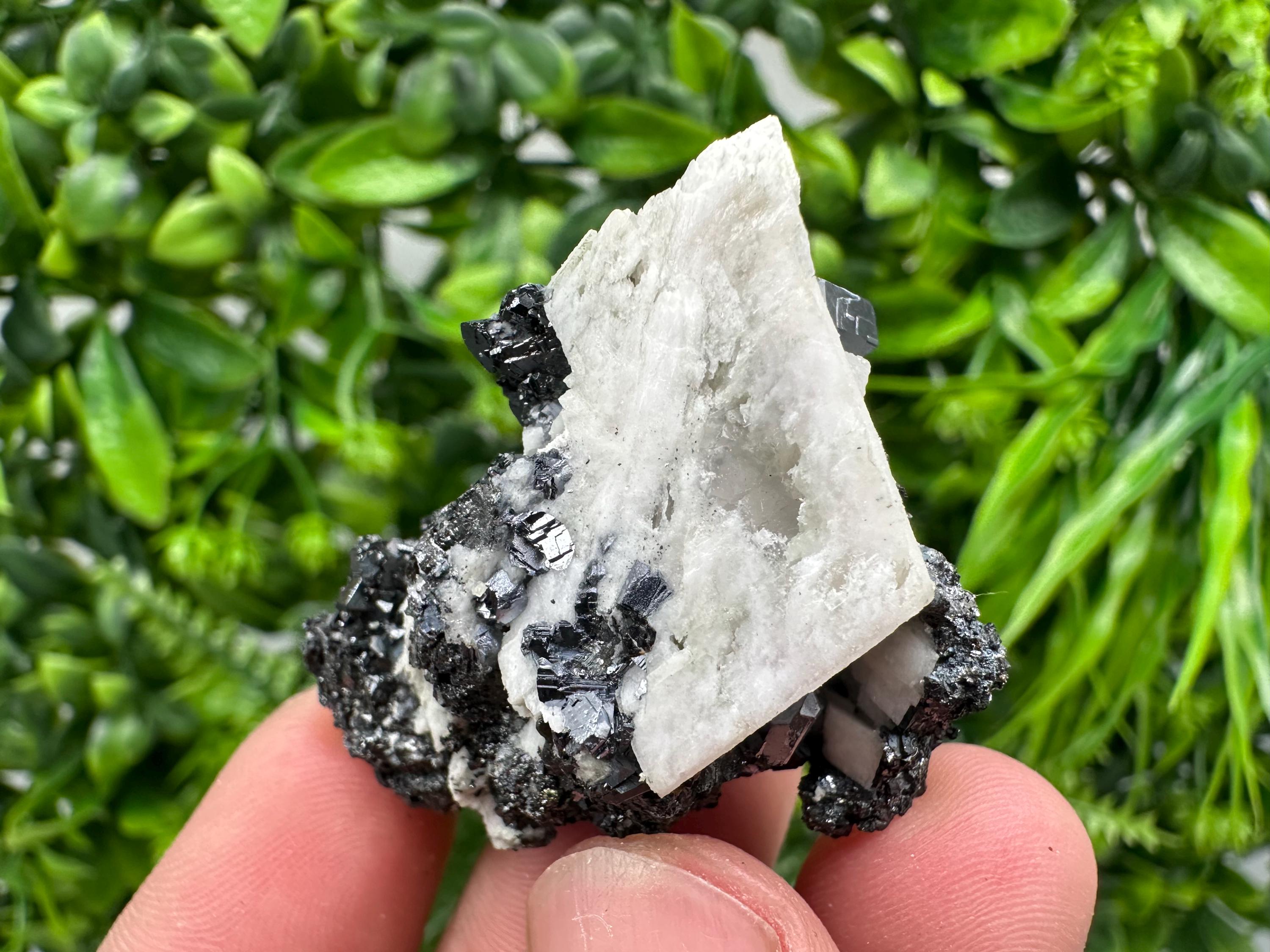 Galena Sphalerite Mineral Specimen, Madan Bulgaria