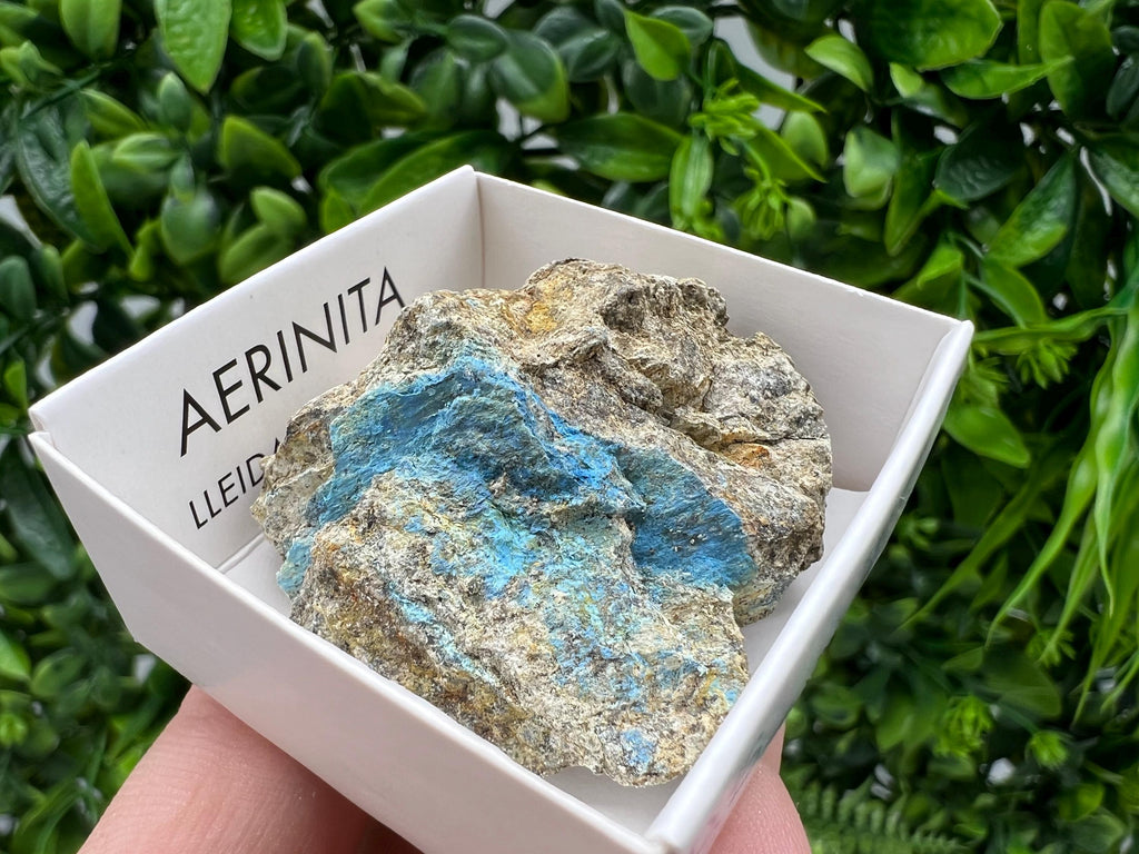 Rare Raw Aerinite Mineral Specimen: Collection Crystal from Lleida, Spain (3.5/3.5 CM)