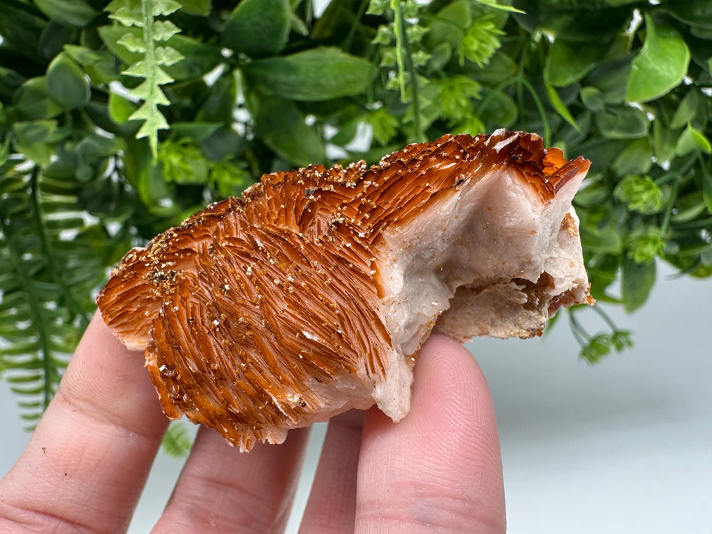 Red Vanadinite Crystal Cluster on Barite Matrix from Morocco