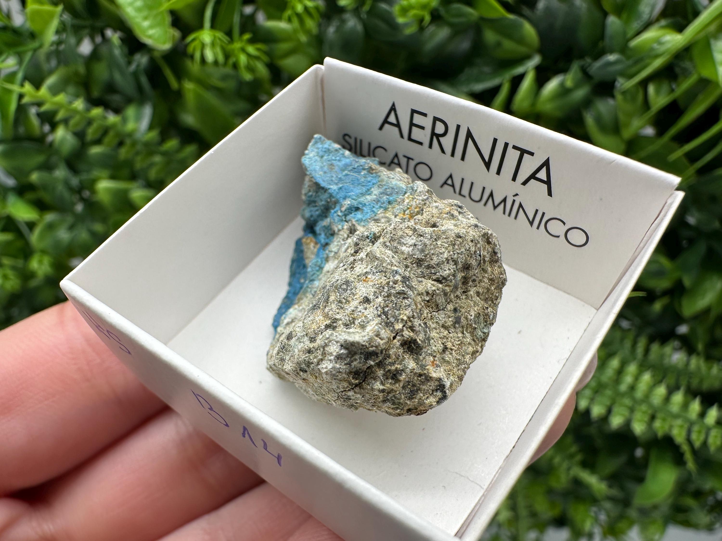Rare Raw Aerinite Mineral Specimen: Lleida, Spain Crystal