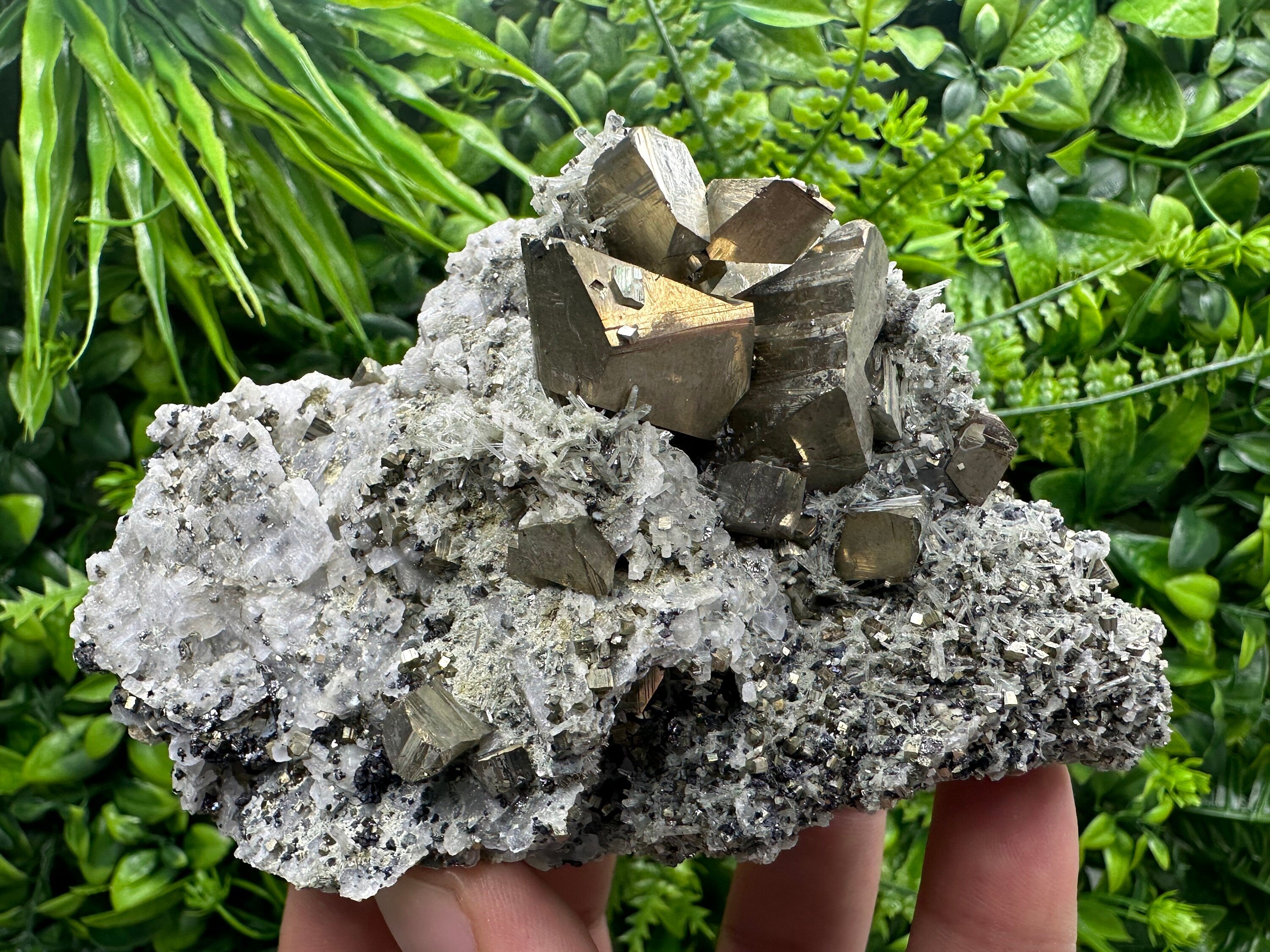 Crystallized Pyrite on Quartz, Madan Bulgaria, Home Decor