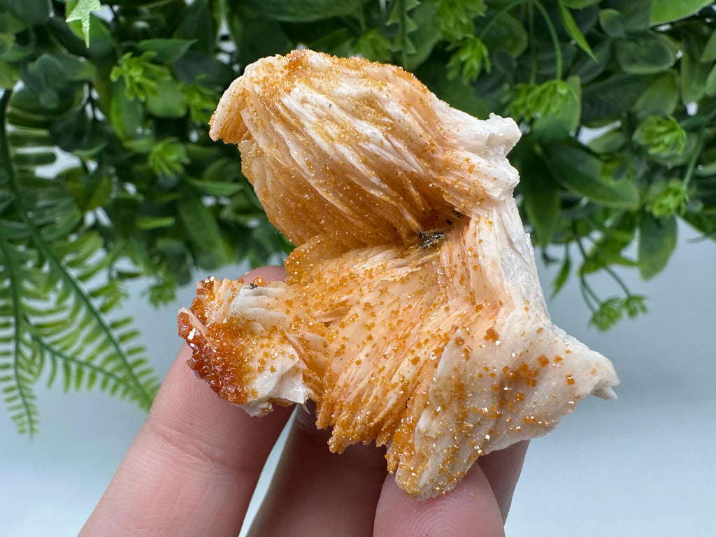 Red Vanadinite on Barite Crystal Specimen, Moroccan Mineral Cluster