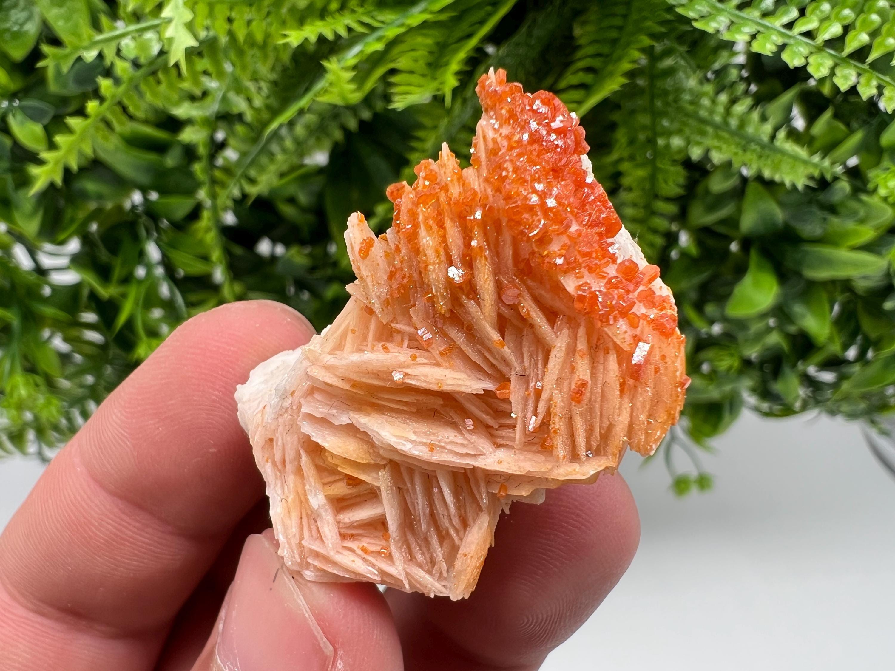 Red Vanadinite on Barite from Marocco,crystal minerals Speciment cluster Vanadinite crystal Vanadinite Geology Vanadinite cluster minerals