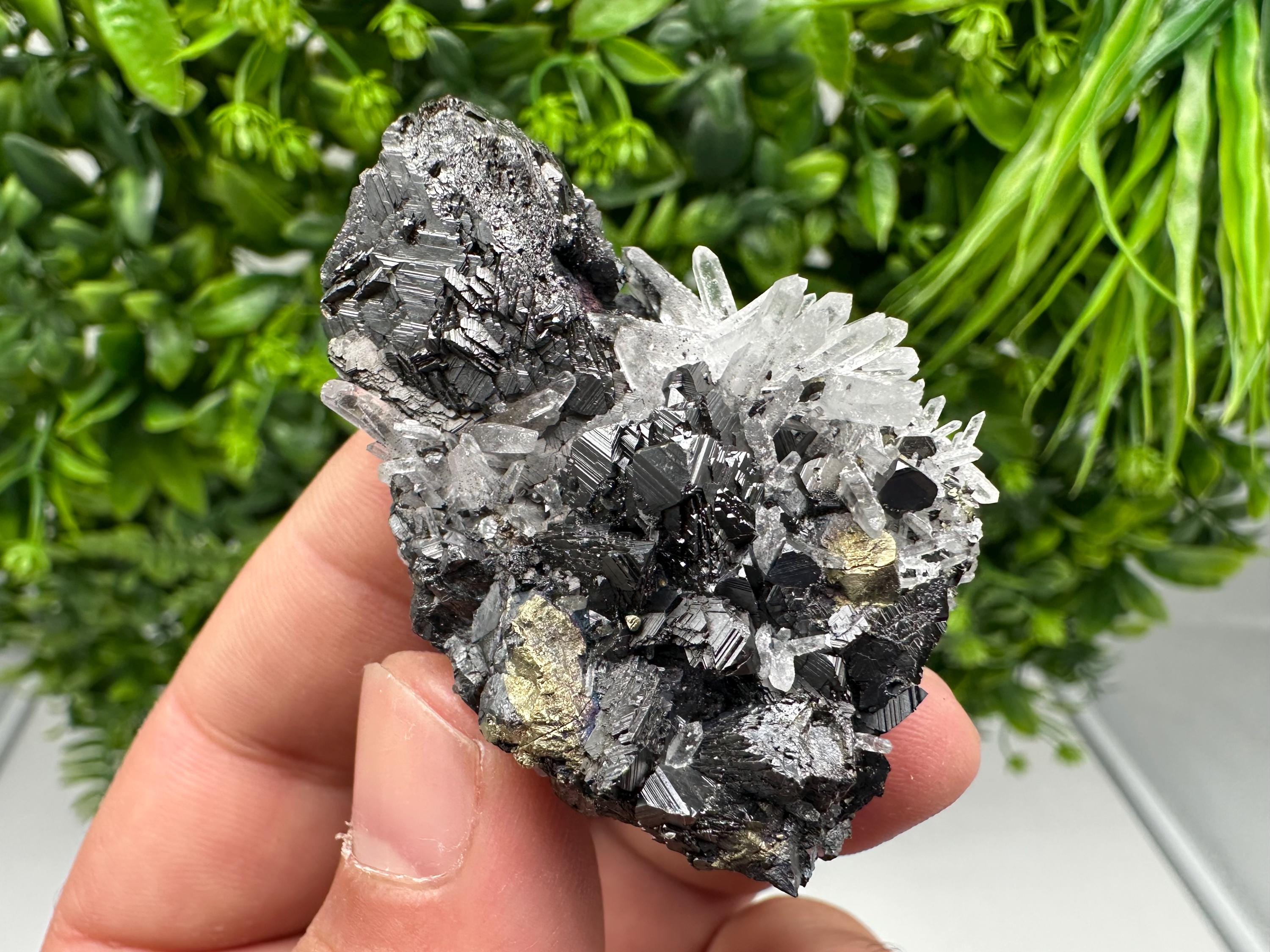 Wonderful Sphalerite Chalcopyrite on  Quartz whit Galena feom 9 th September mine,Bulgaria,natural,collection mineral specimen,gift