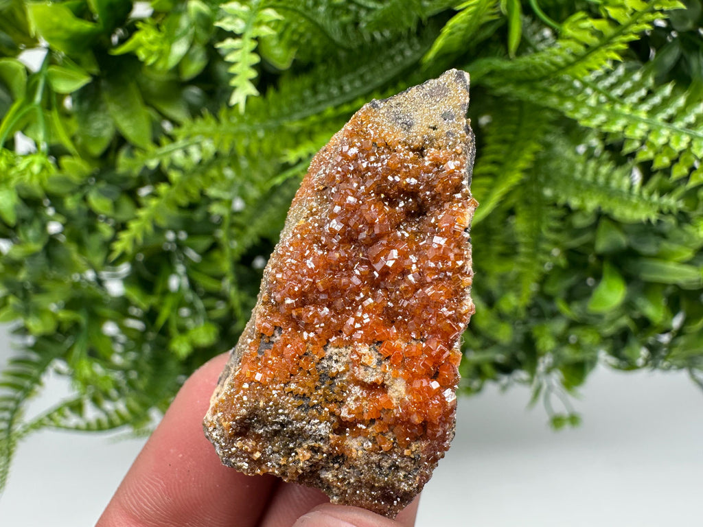 Red Vanadinite Crystal Cluster on Matrix, Morocco Mineral Specimen