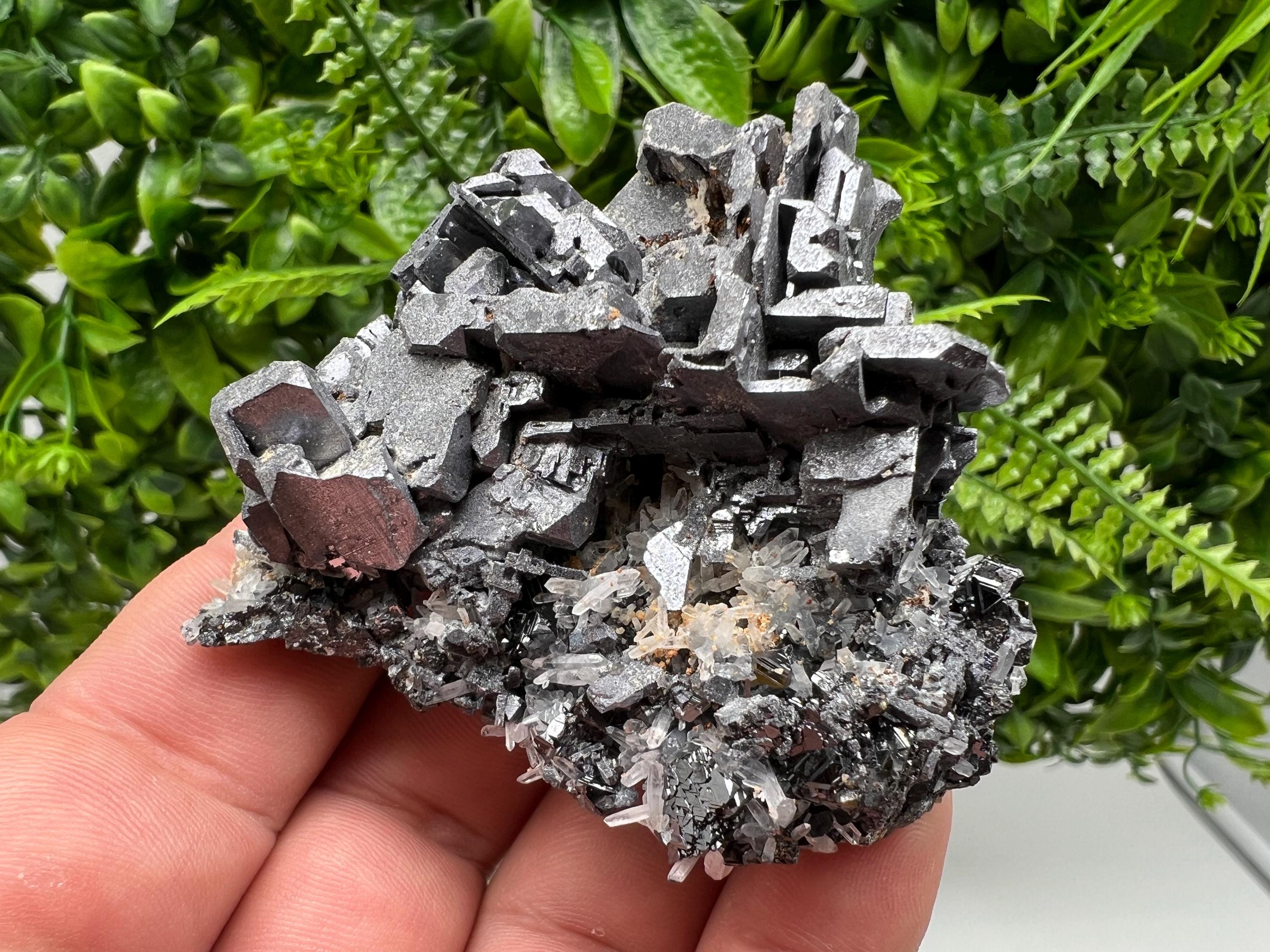 Galena Cluster with Siderite and Quartz: 9th September Mine, Bulgaria