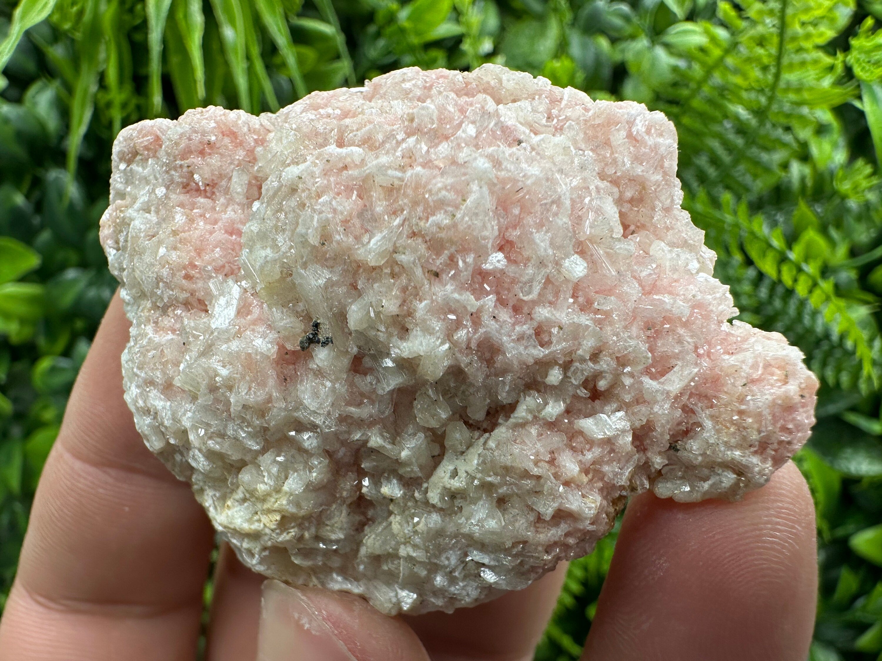 Rhodochrosite with Quartz and Stilbite, Starnica Mine Mineral Gift