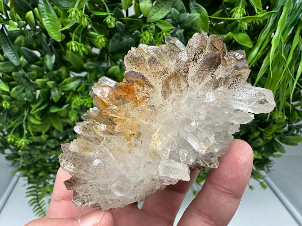 Transparent Quartz whit Siderite 9th September mine Bulgaria natural minerals souvenir crystal stone gift minerals collection rock