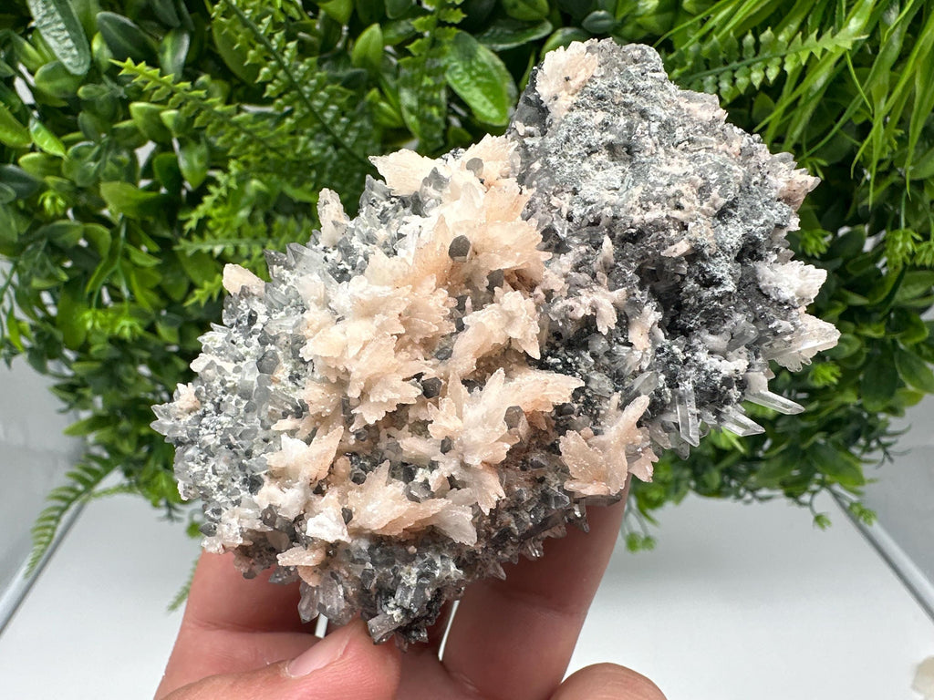 Calcite on Green Quartz: Djurcovo Mine, Bulgaria Crystal