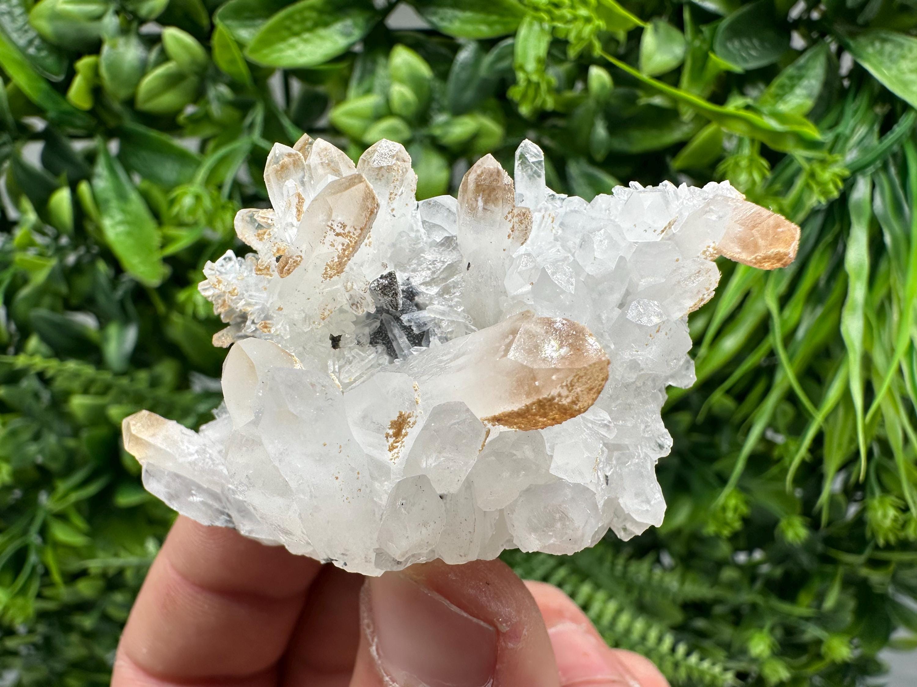 Quartz Sphalerite Chalcopyrite Mineral Specimen, Madan Bulgaria