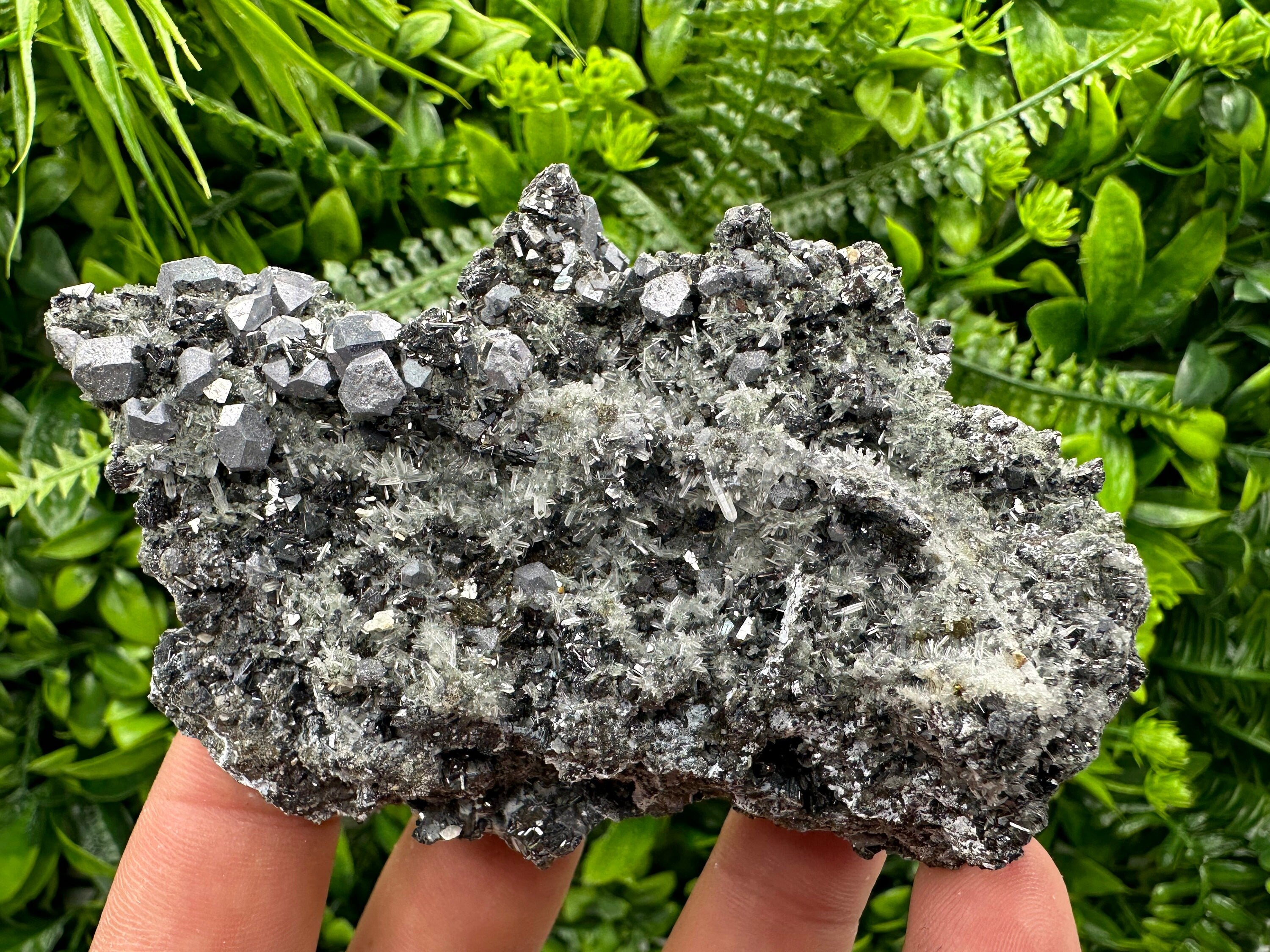 Sphalerite Pyrite on Quartz, Bulgaria Mineral Specimen (10/7/3.5 cm)