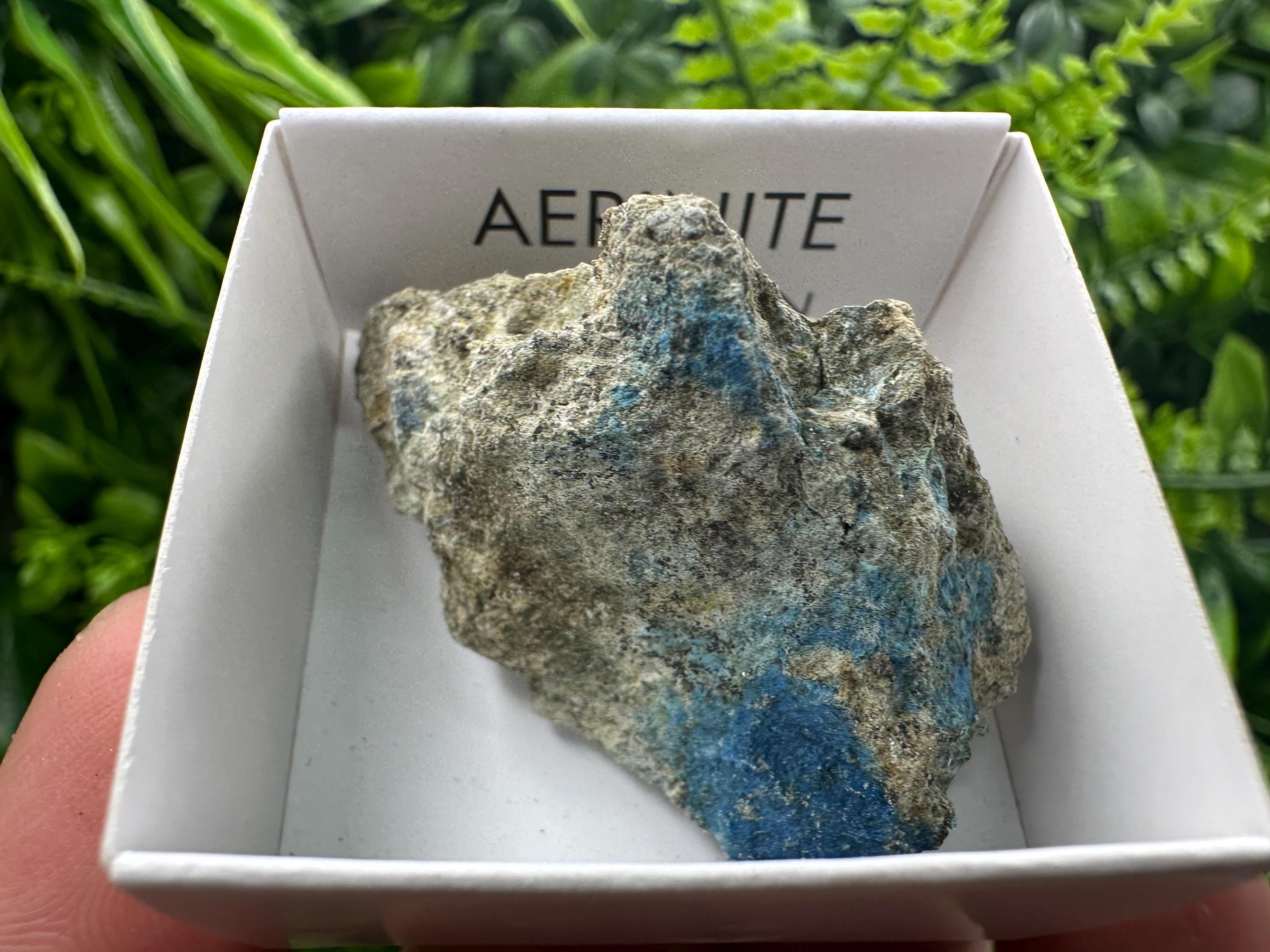 Rare Raw Aerinite Mineral Specimen: Lleida, Spain Crystal