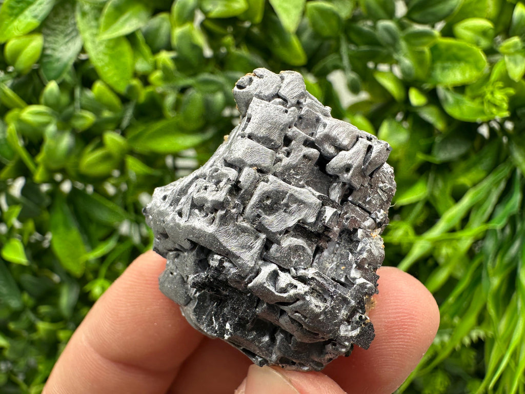 Skeletal Galena on Sphalerite: Natural Mineral Crystal Decor