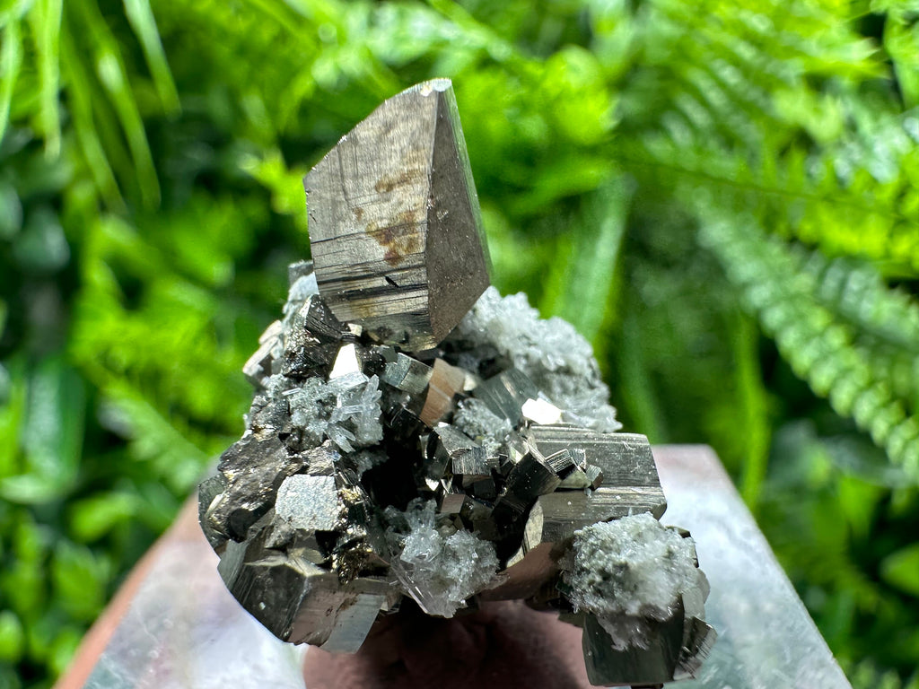 Golden Pyrite Cluster, Natural Crystal Mineral Souvenir