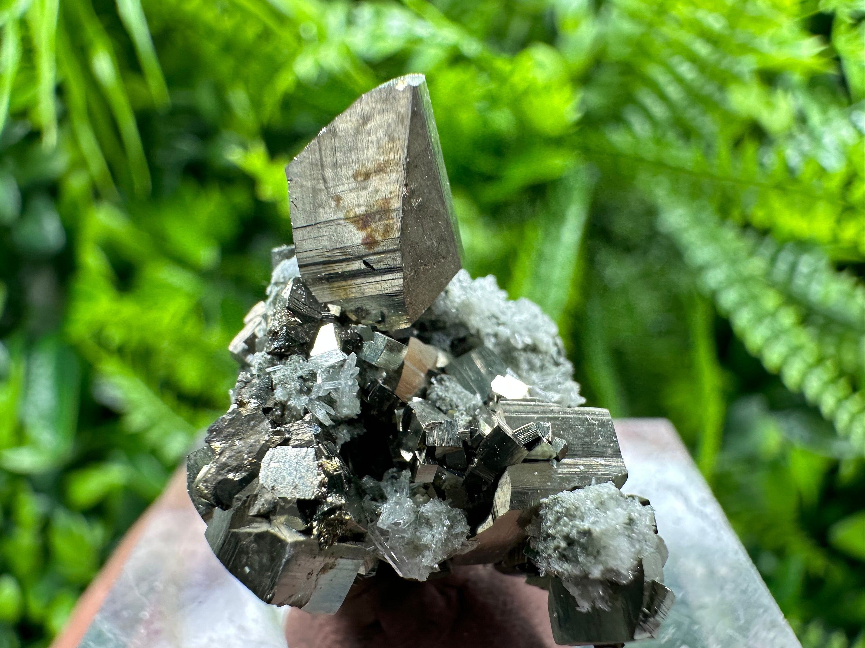 Golden Pyrite Cluster, Natural Crystal Mineral Souvenir