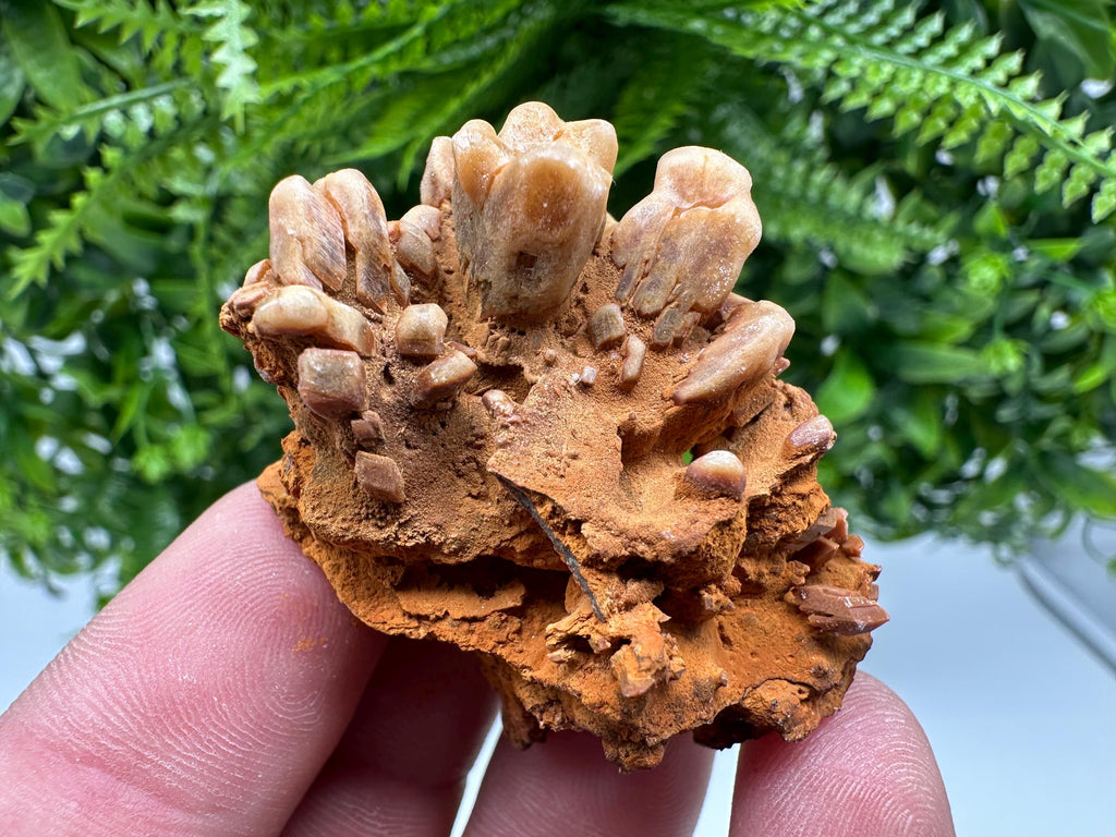Brown Gypsum Selenite Crystal, Rudna Mine Mineral Specimen