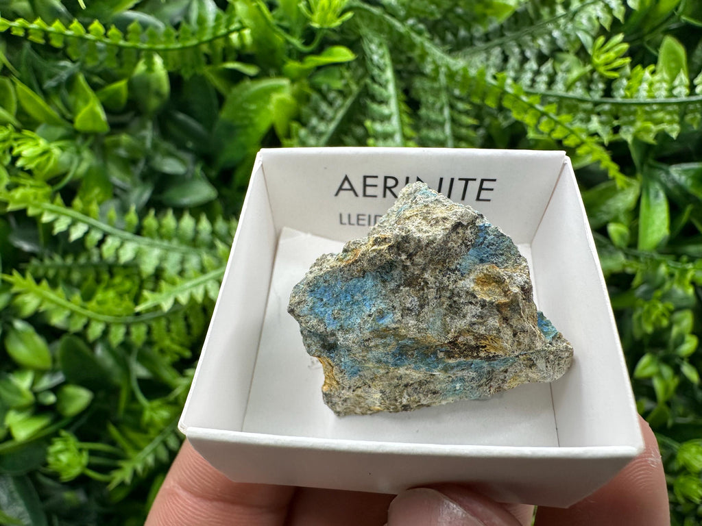 Rare Raw Aerinite Mineral Specimen, Lleida Spain