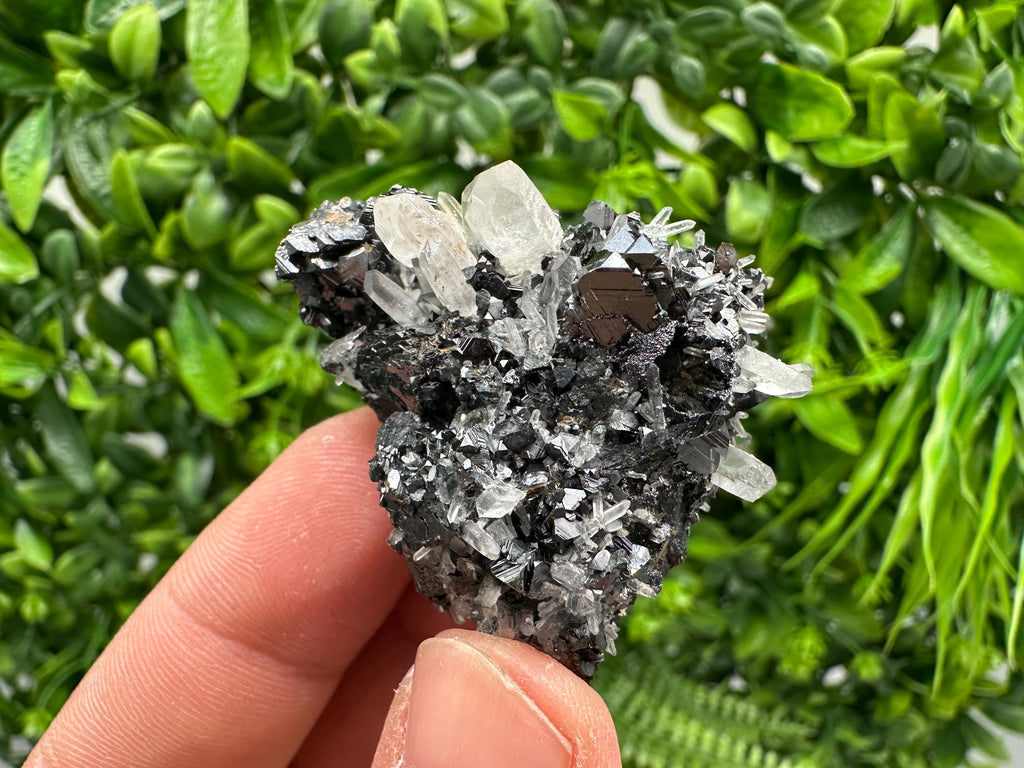 Wonderful Sphalerite Chalcopyrite on  Quartz whit Galena feom 9 th September mine,Bulgaria,natural,collection mineral specimen,gift