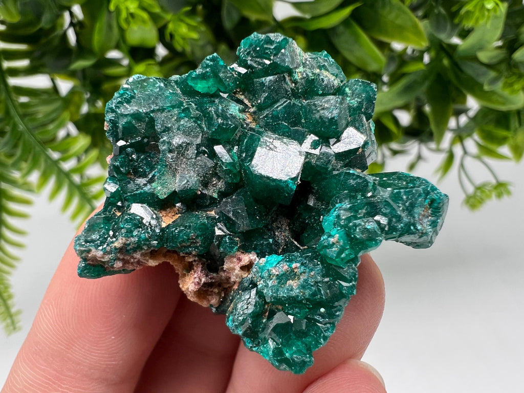 Stunning Green Dioptase from Sanda Hills,Mindouli,Pool Department,Mindouli District,Congo,green Dioptase,Dioptas Crystal,Dioptase collecting
